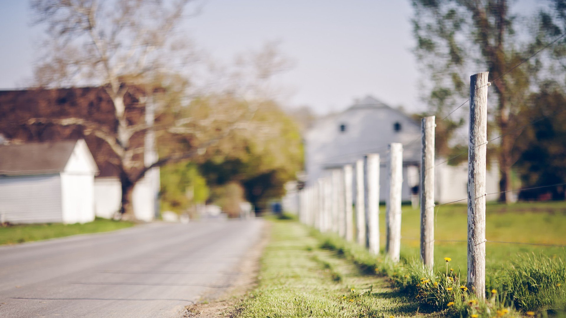 风景,自然风光,小镇,田园,房子,唯美,春意盎然,炎炎夏日