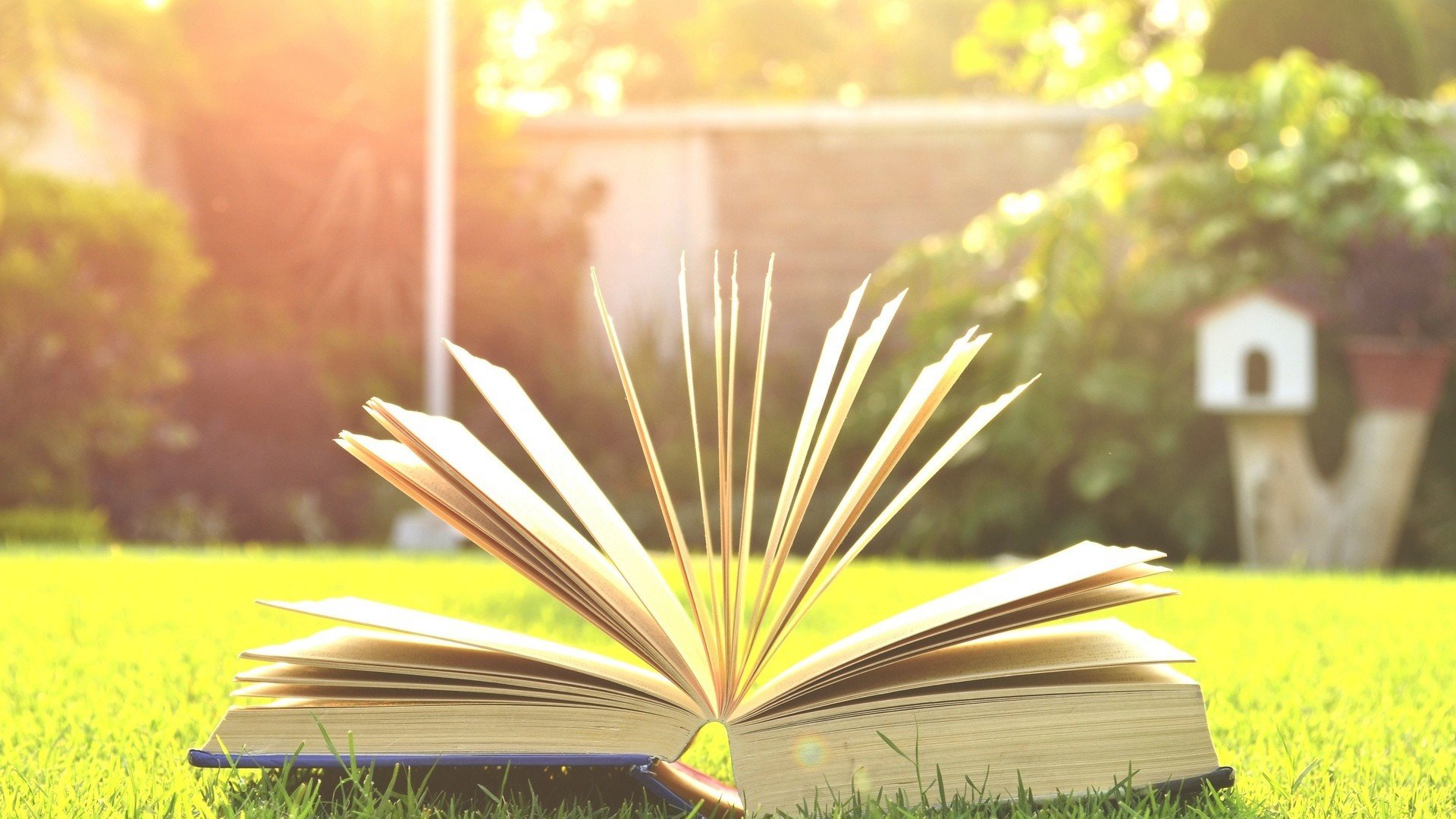 小清新,温暖,干净,安静,温馨,唯美,静物,物语,书