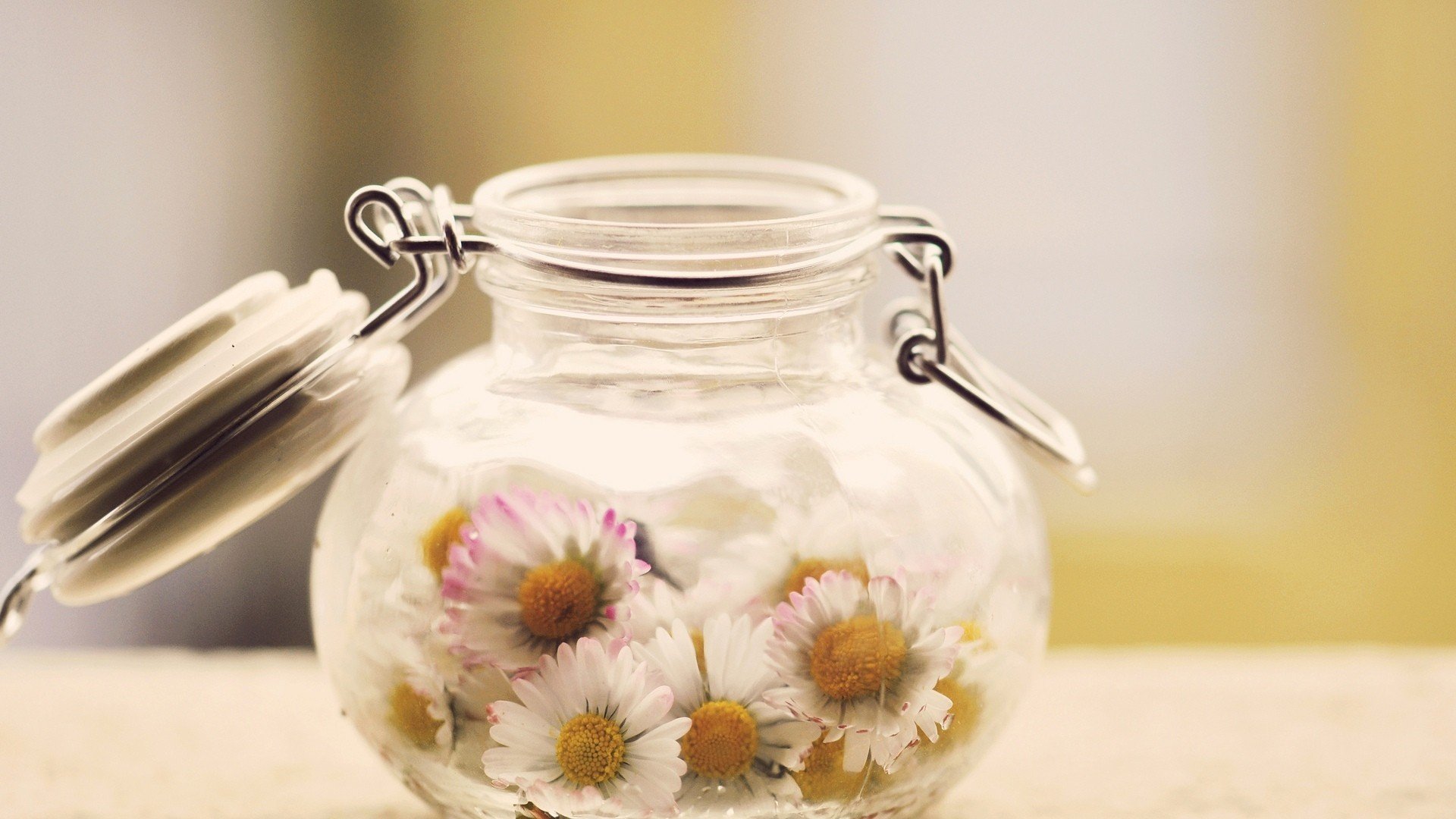 小清新,温暖,干净,安静,唯美,静物,物语,时光