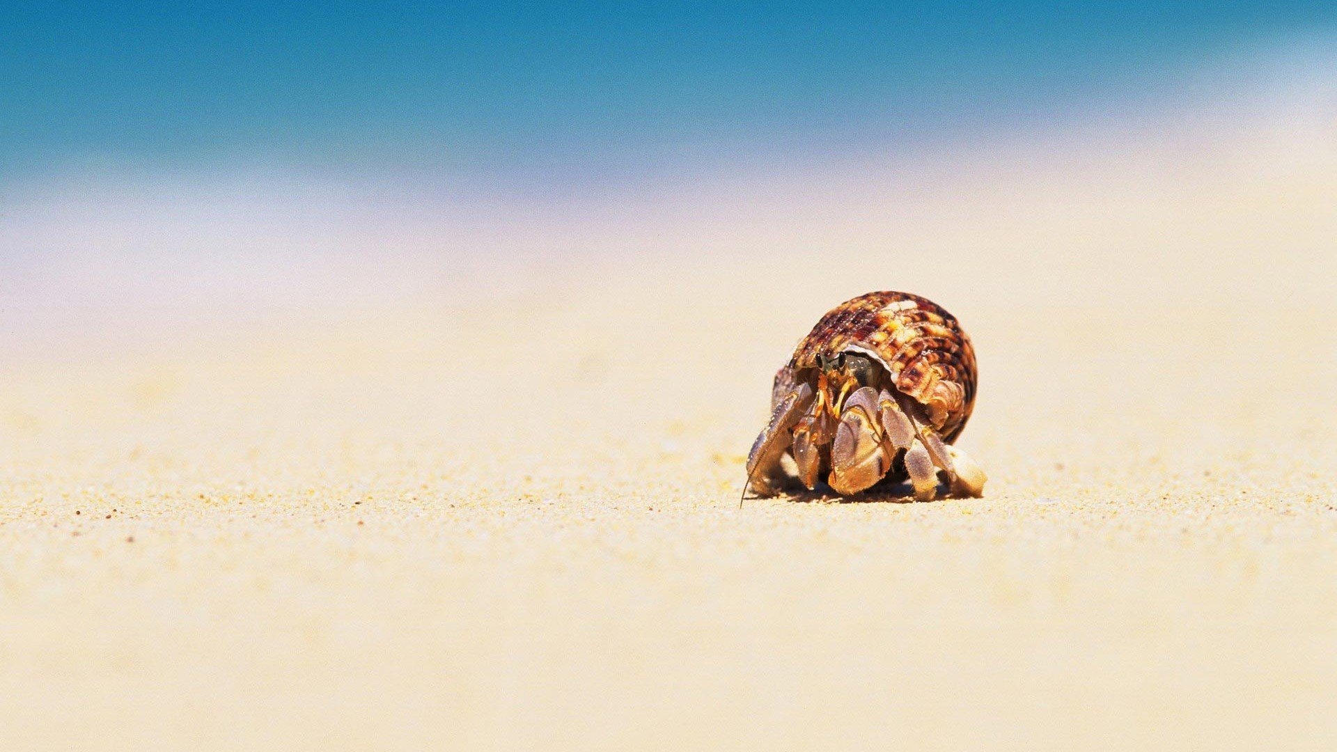 小清新,温暖,干净,安静,唯美,静物,物语,时光,清新淡雅,宁静安详