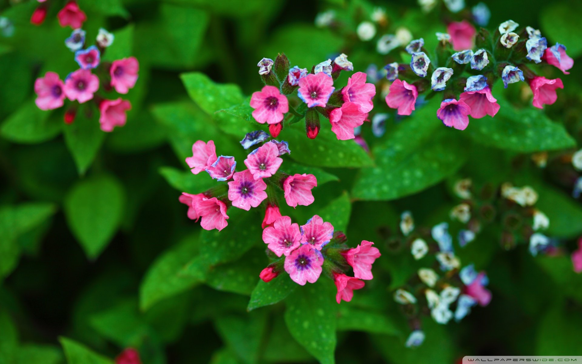 小清新,温暖,干净,安静,唯美,静物,物语,时光