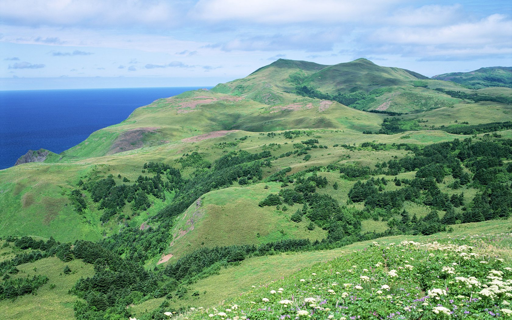 风景,自然风光,大自然,唯美,日本,北海道,日系,旅游胜地