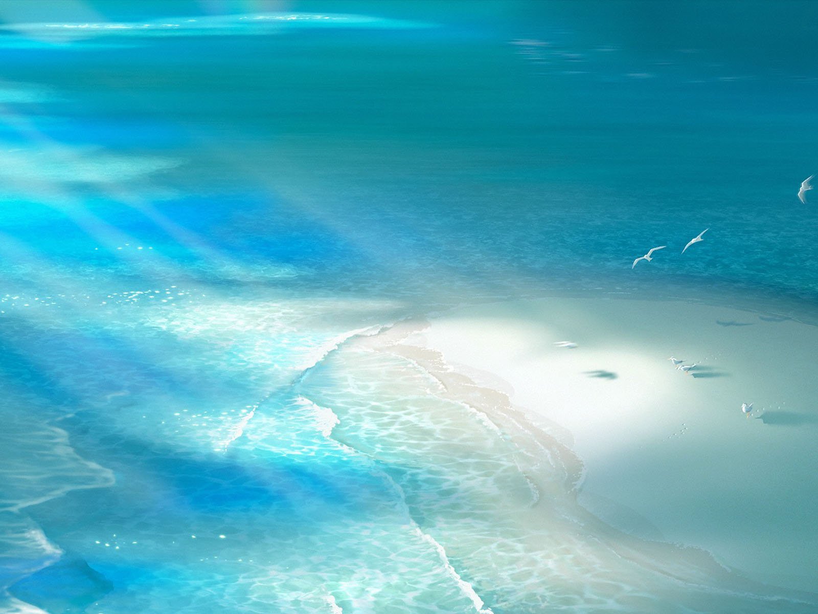 大海,海边,阳光