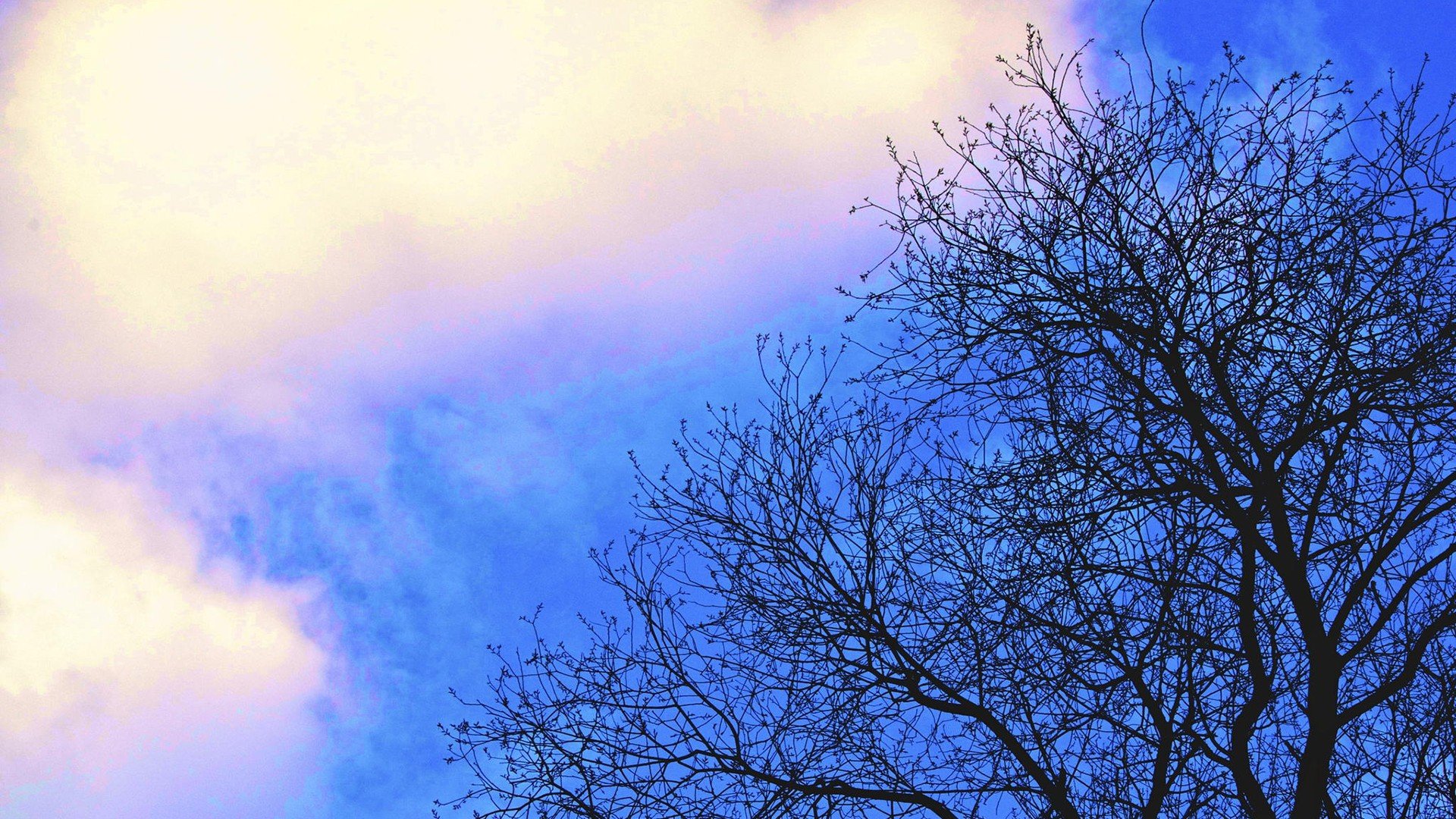 炫酷,特效,简约,简单