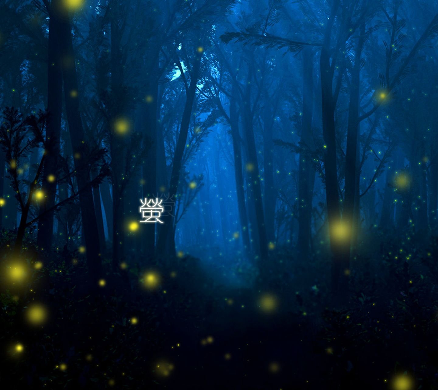 萤火虫,视觉,唯美