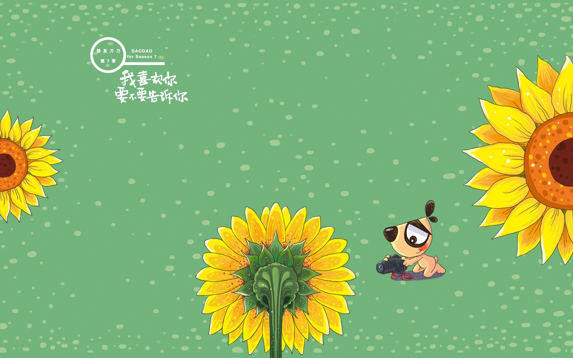 刀刀狗,文字控,励志,正能量