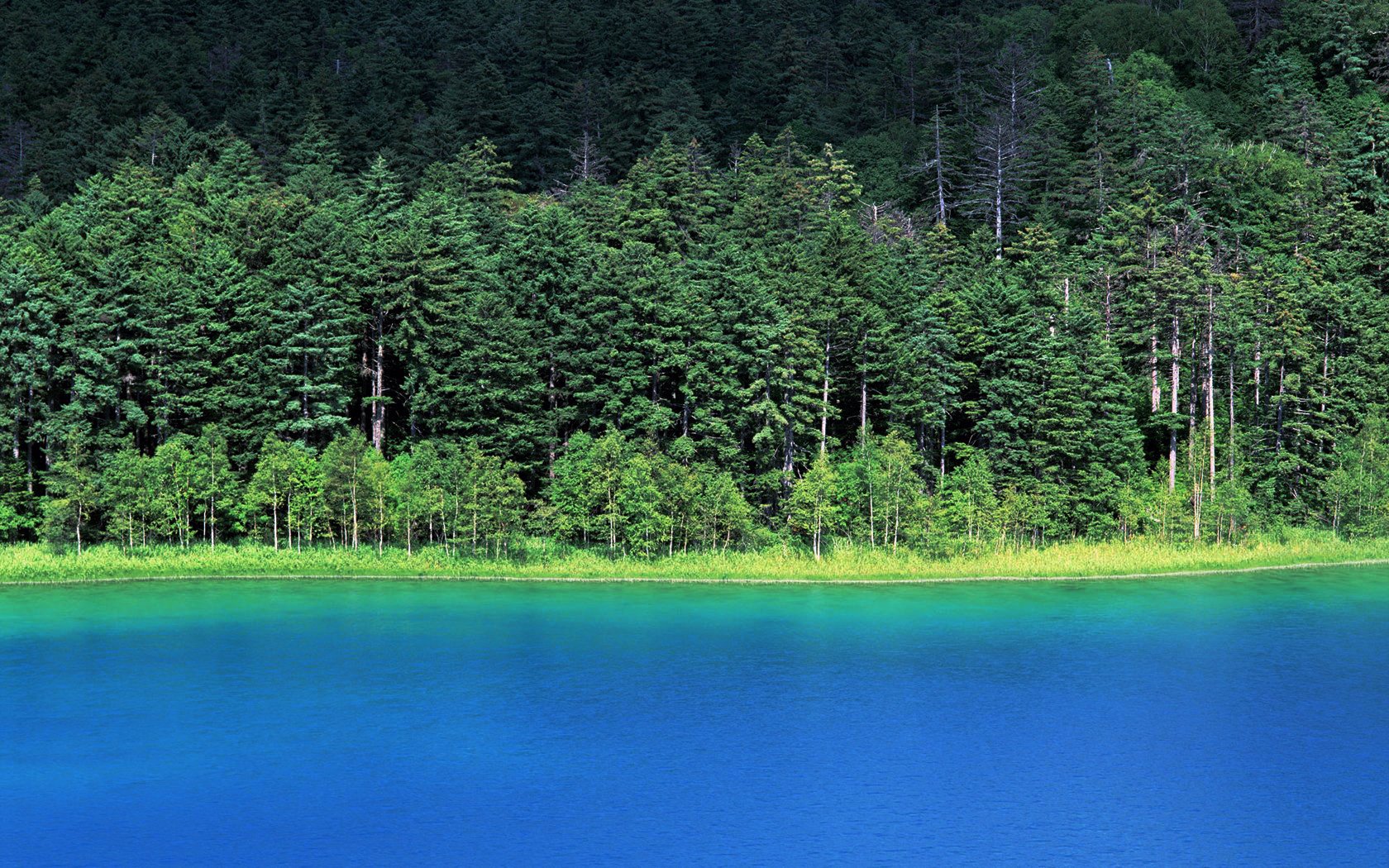 风景,自然风光,大自然,唯美,日本,北海道,日系,旅游胜地