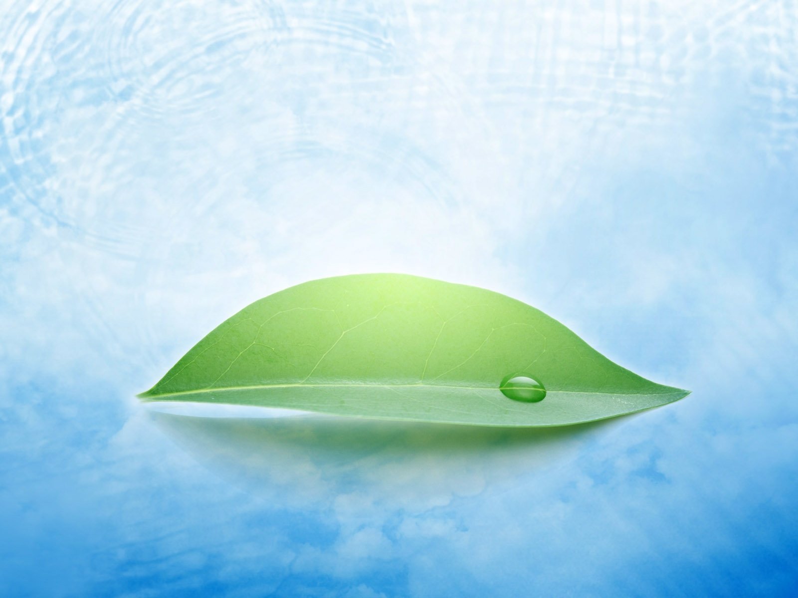 小清新,温暖,干净,安静,唯美,静物,物语,时光,清新淡雅,宁静安详