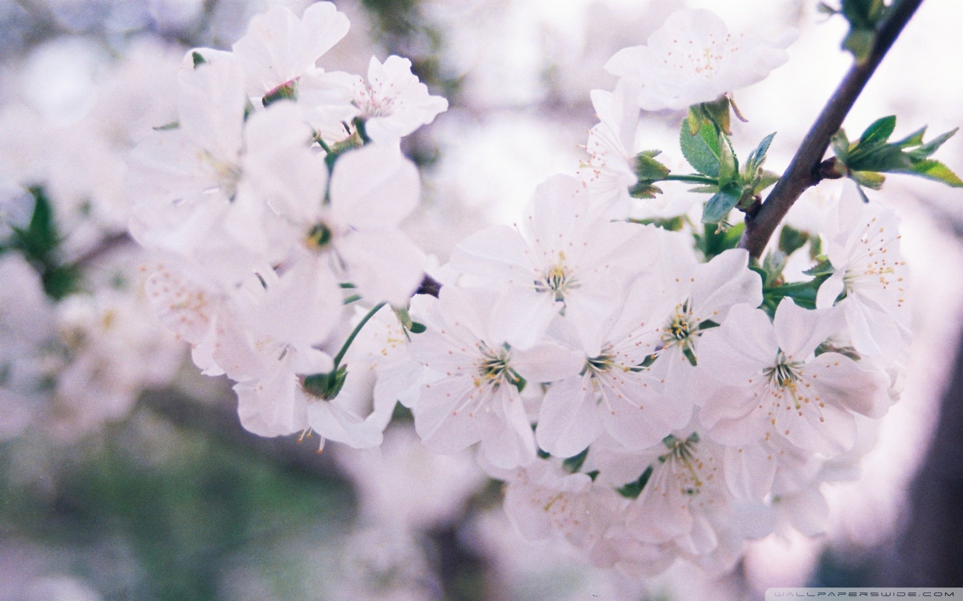 小清新,温暖,干净,安静,唯美,静物,物语,时光