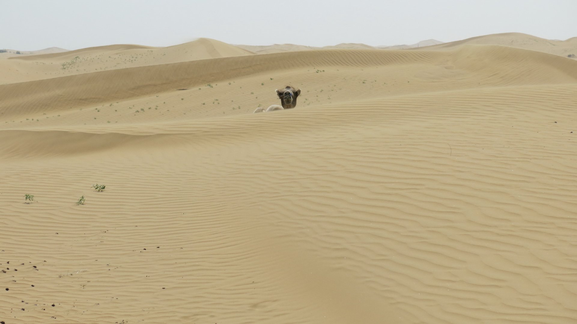 风景,自然风光,大自然