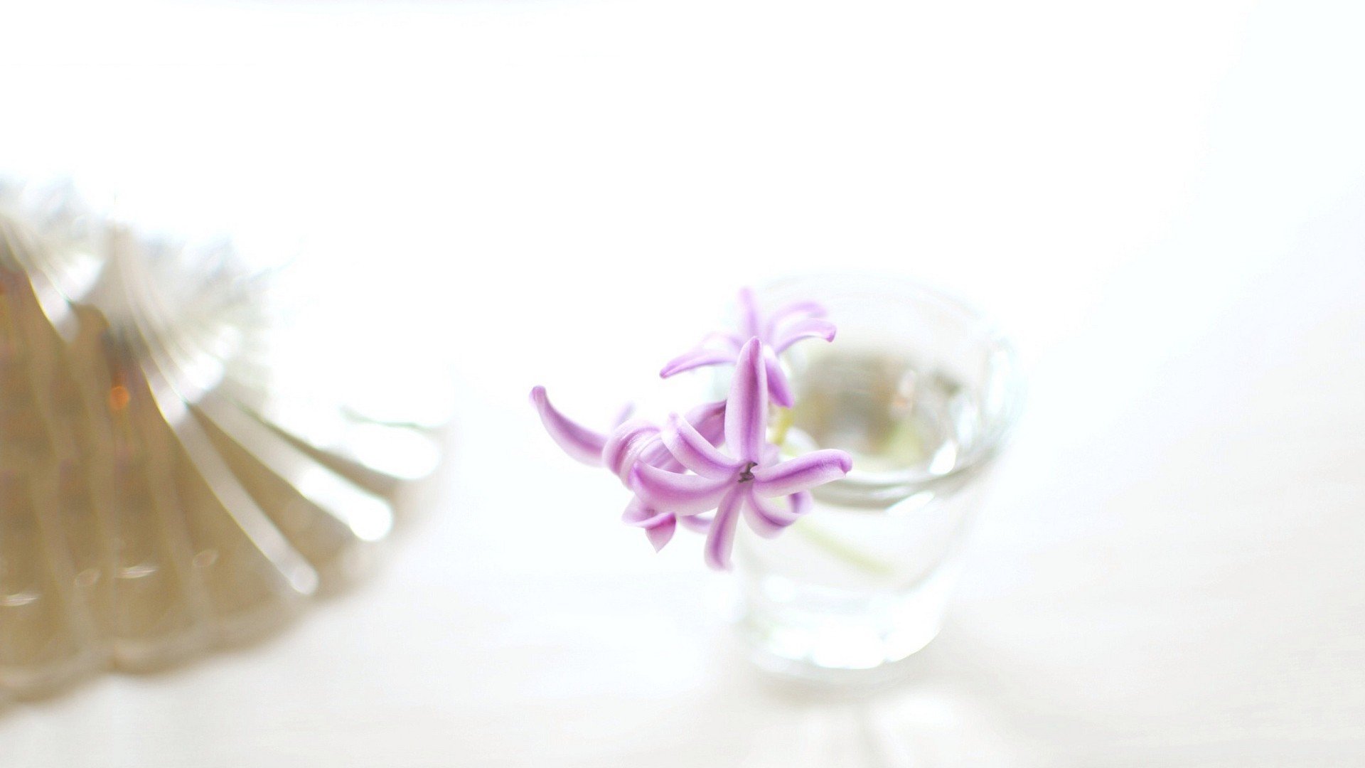 小清新,温暖,干净,安静,唯美,静物,物语,时光