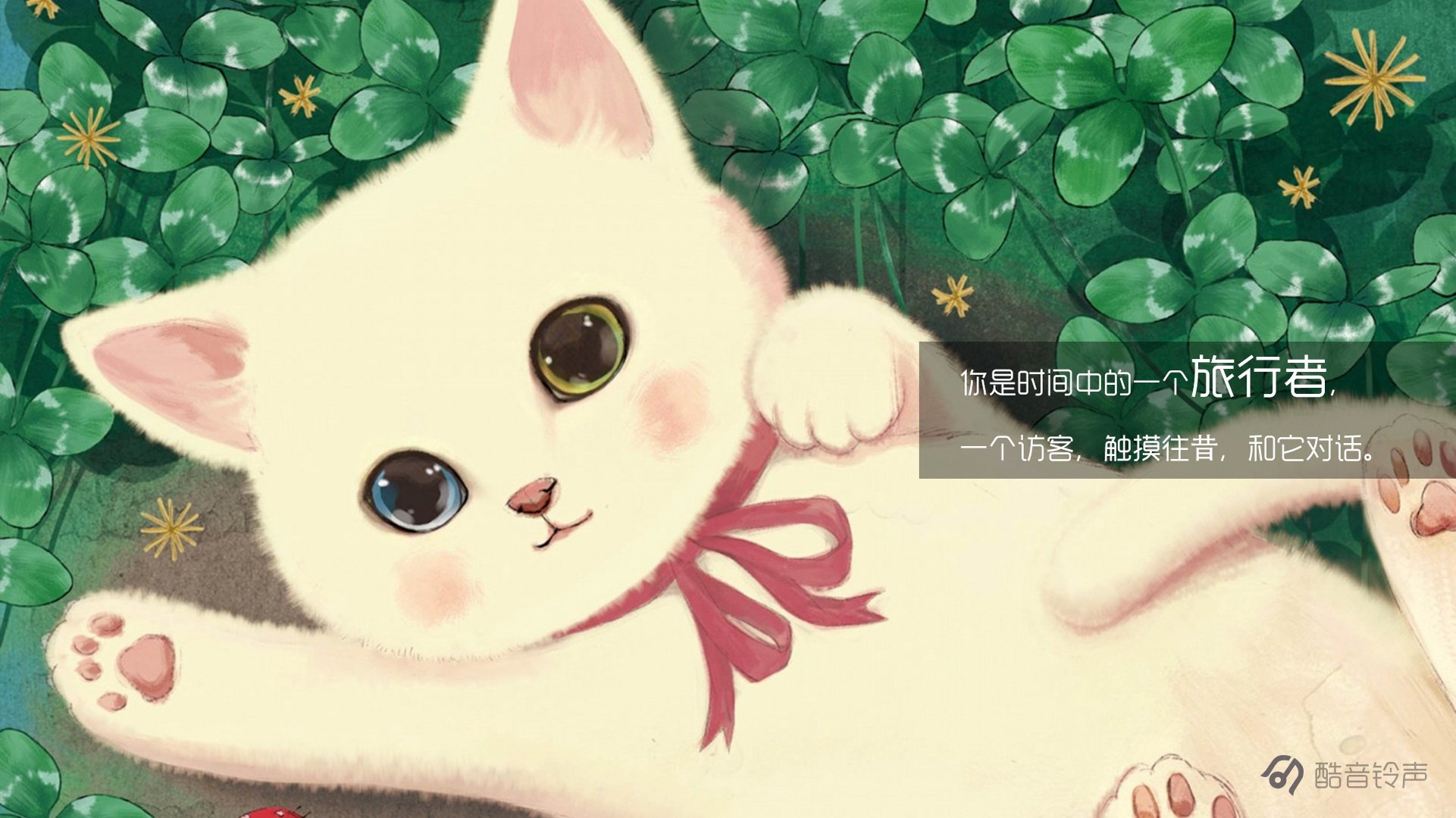 喵星人,萌宠,宠物,猫