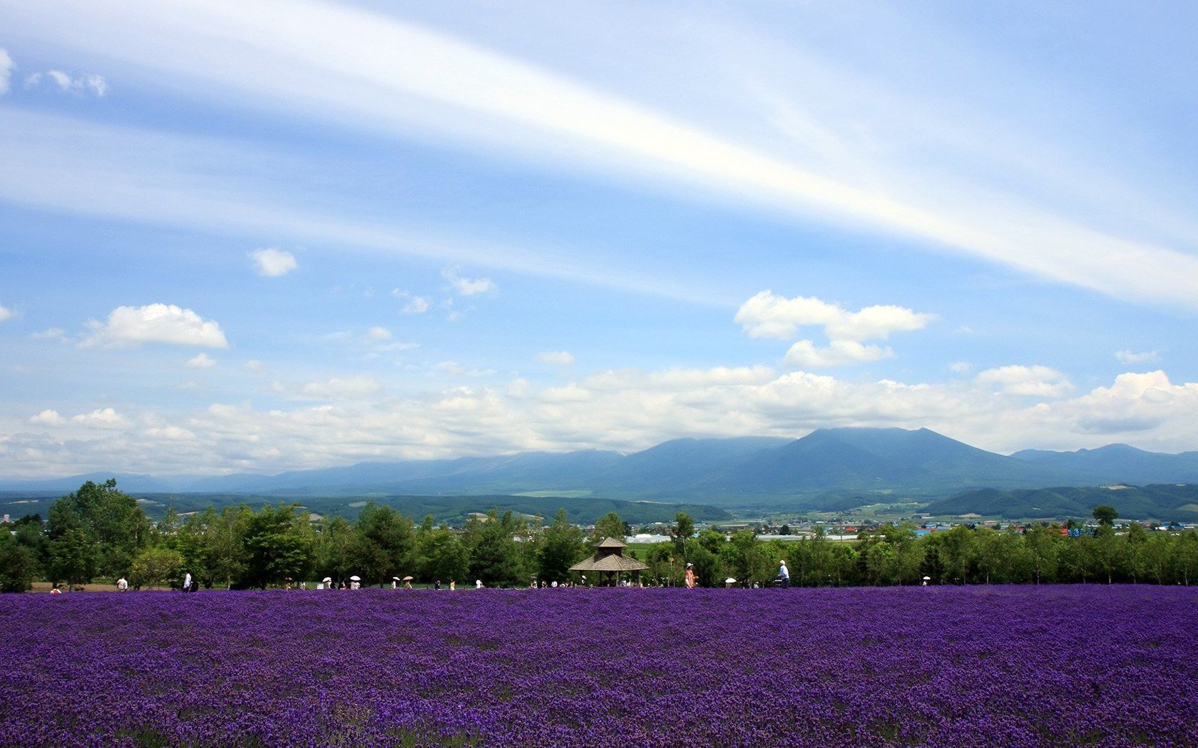 风景,自然风光,大自然,唯美,日本,北海道,日系,旅游胜地