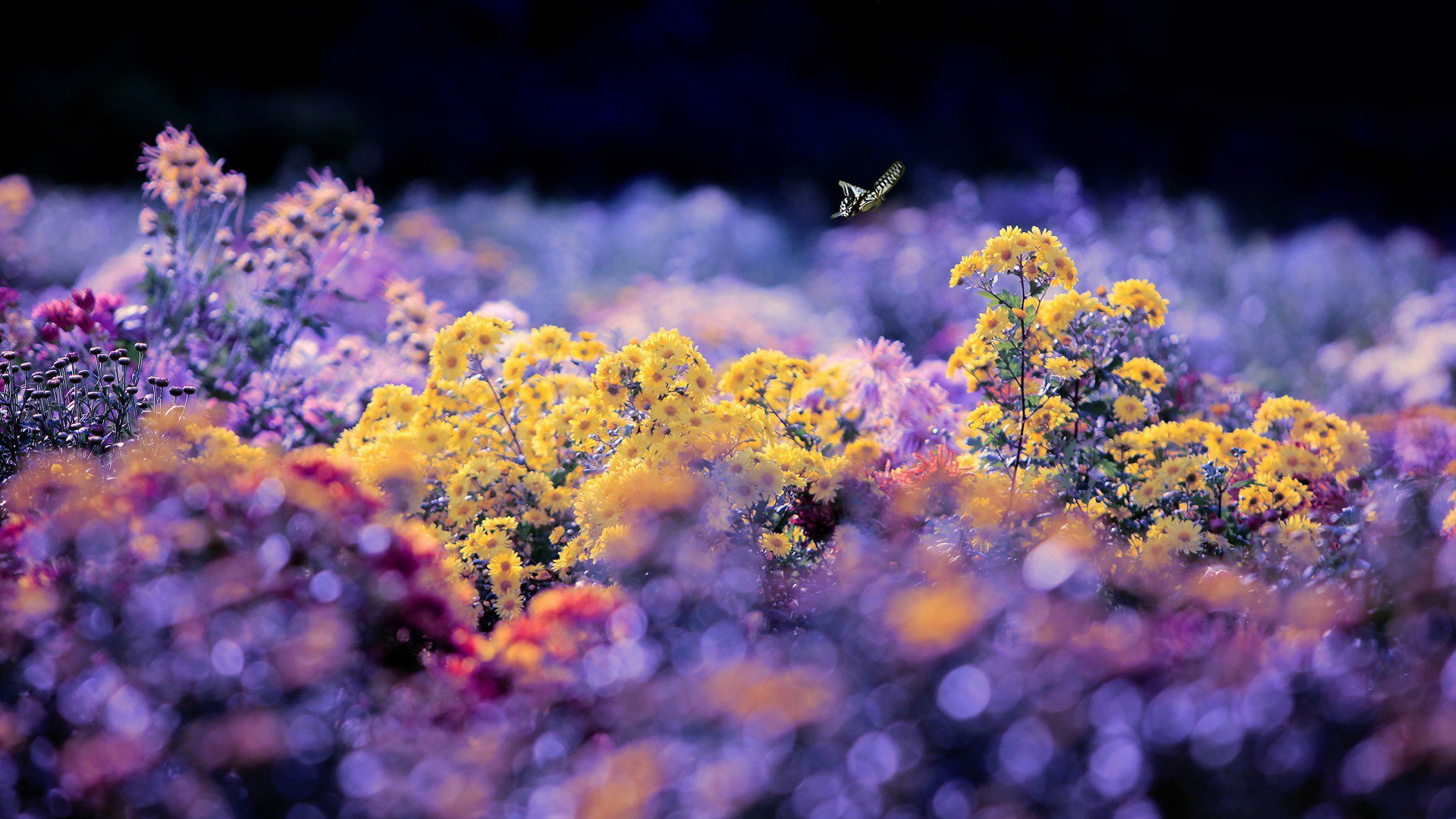 小清新,温暖,干净,安静,唯美,静物,物语,时光