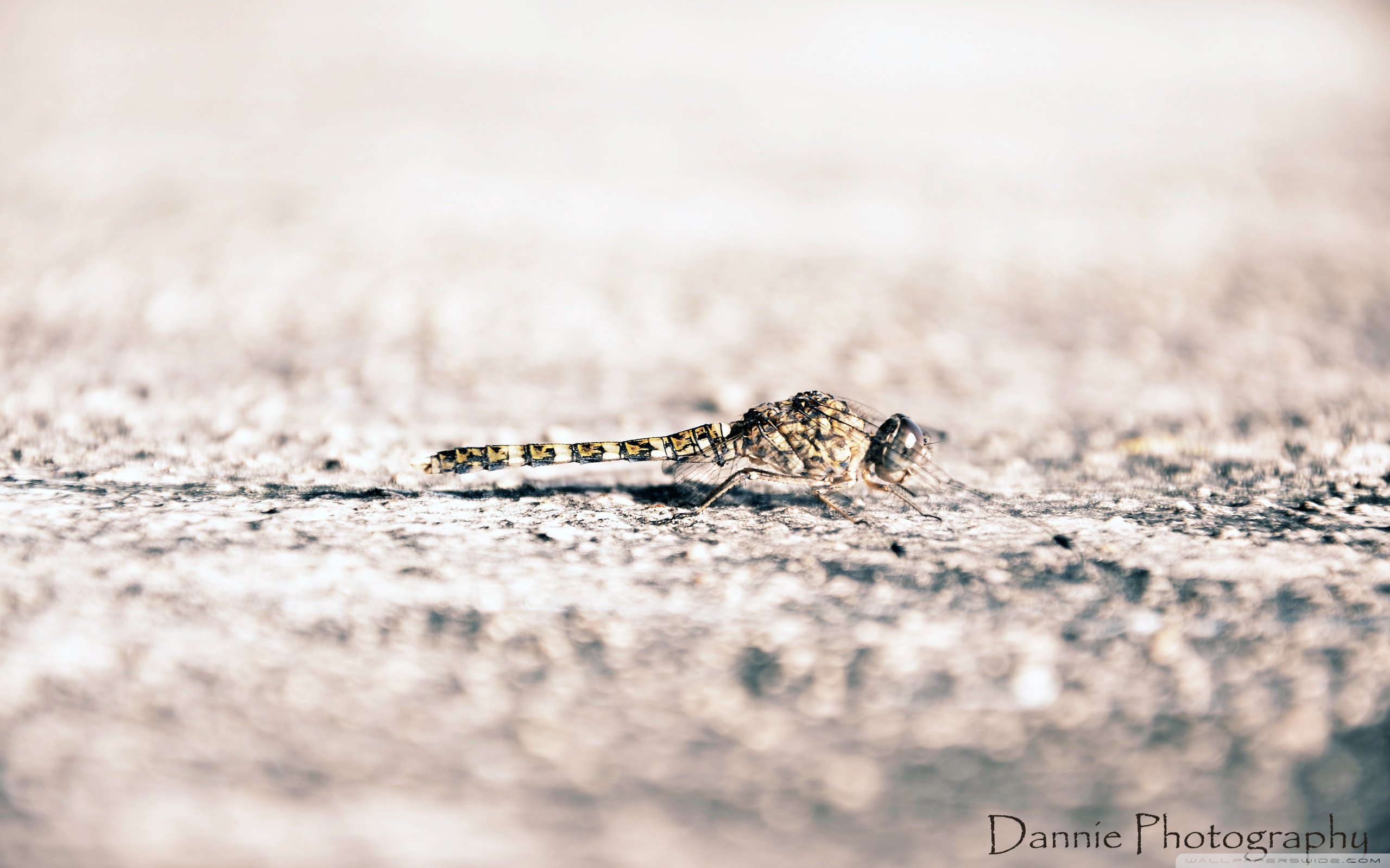 小清新,温暖,干净,安静,唯美,静物,物语,时光,清新淡雅,宁静安详