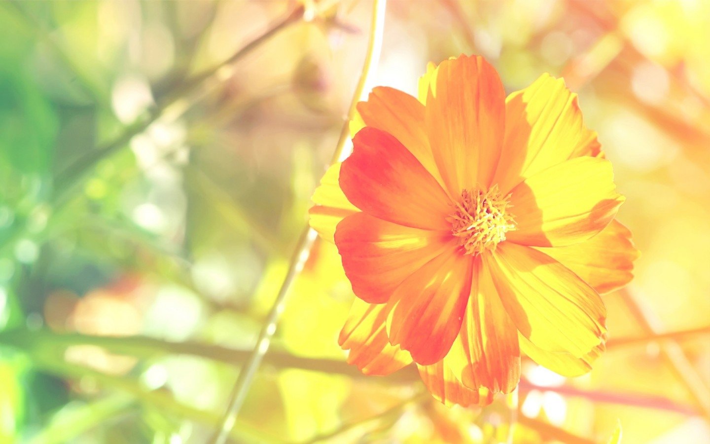 小清新,温暖,干净,安静,唯美,静物,物语,时光