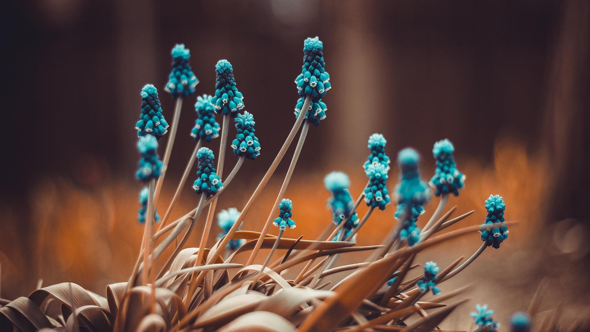 小清新,温暖,干净,安静,唯美,静物,物语,时光