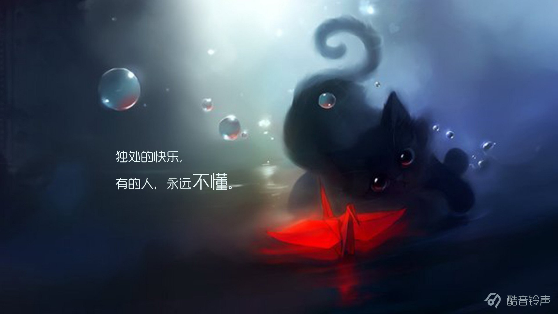 喵星人,萌宠,宠物,猫