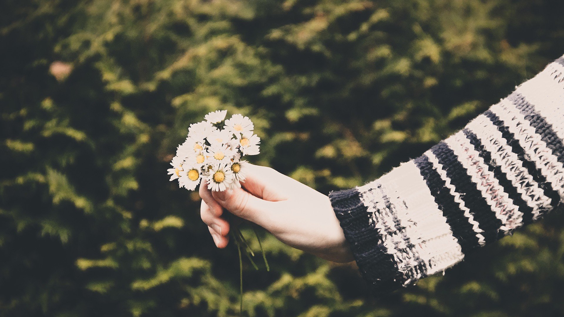 小清新,温暖,干净,安静,唯美,静物,物语,时光