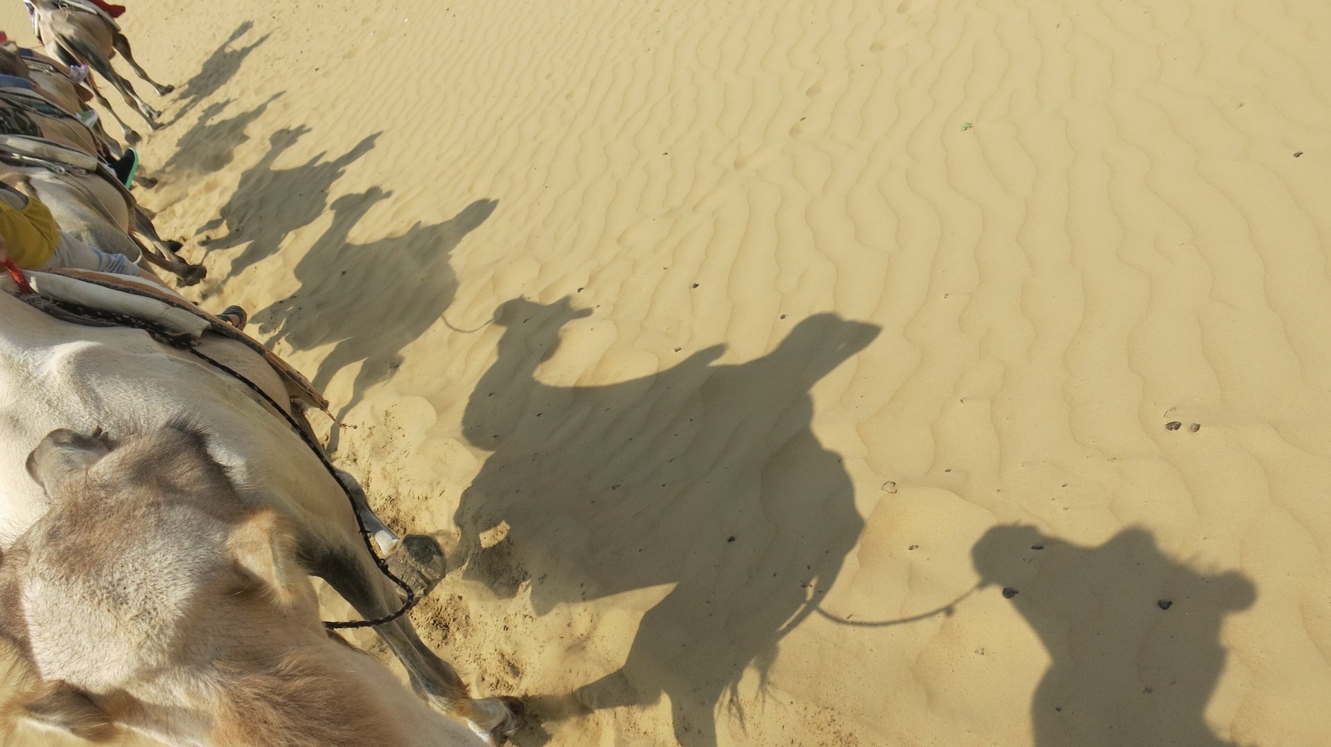 风景,自然风光,大自然