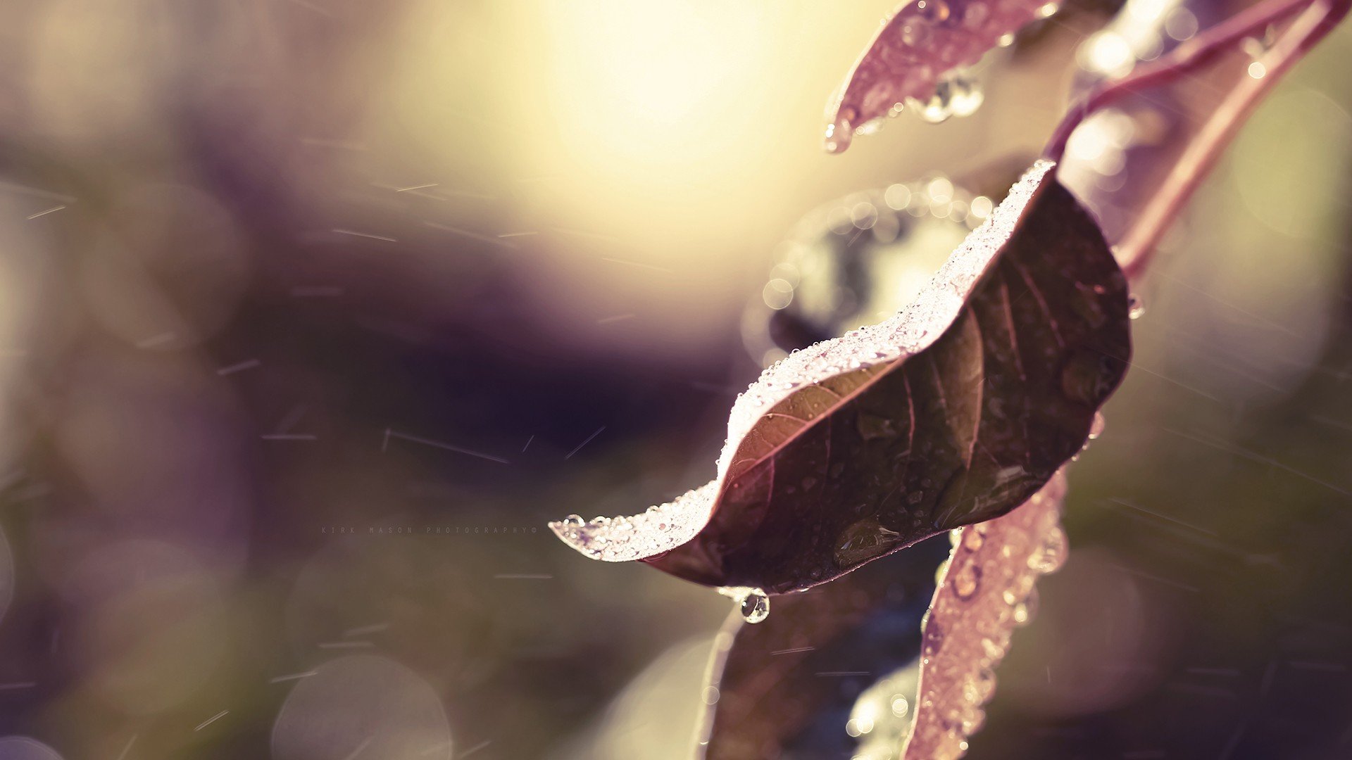 小清新,温暖,干净,安静,唯美,静物,物语,时光,清新淡雅,宁静安详