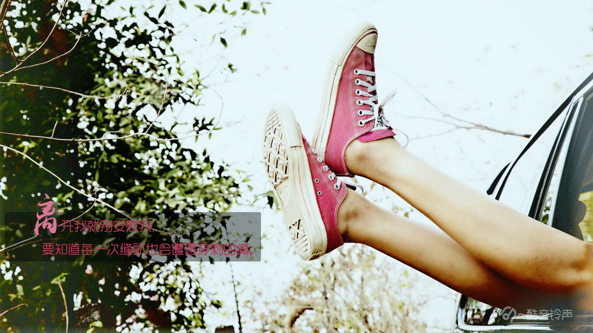 小清新,温暖,干净,安静,唯美,静物,物语,时光,恋生活,文字,@酷音铃声