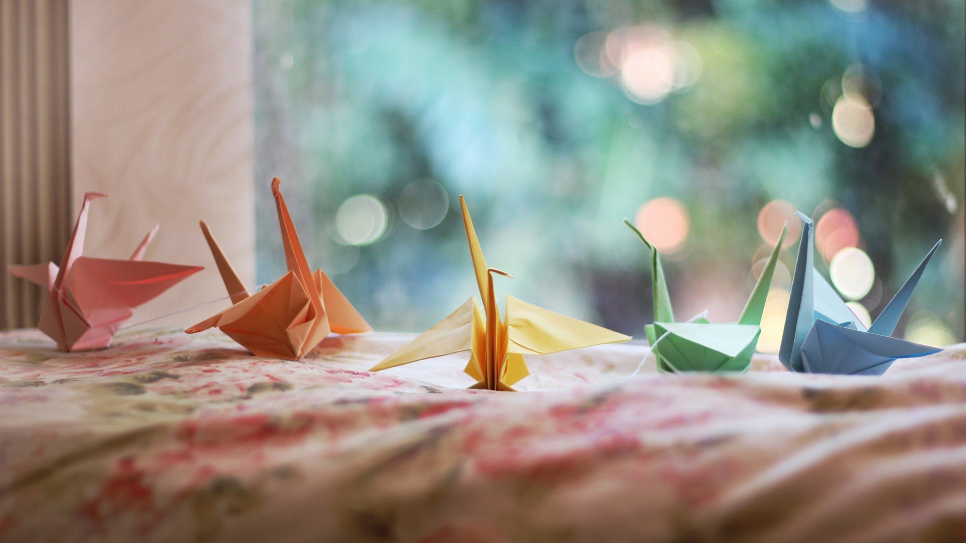 小清新,温暖,干净,安静,唯美,静物,物语,时光