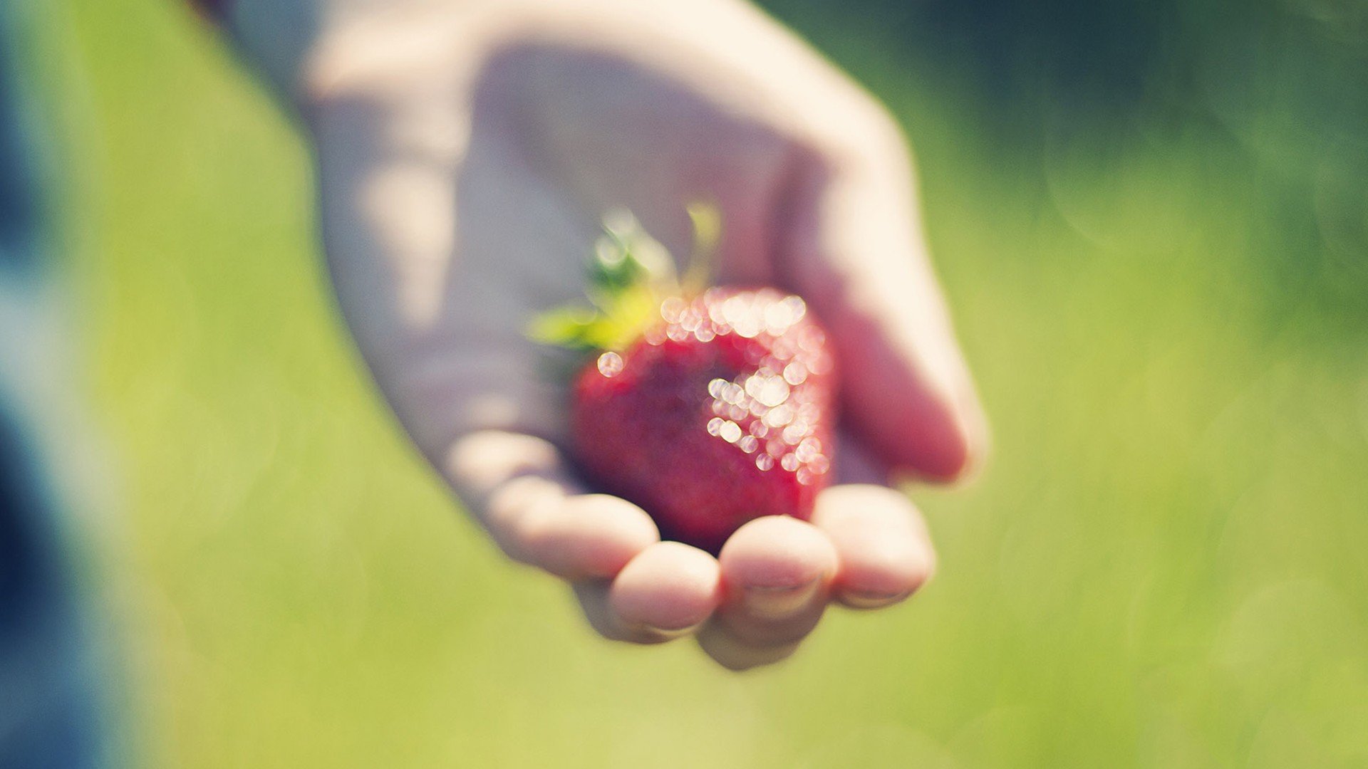 小清新,温暖,干净,安静,唯美,静物,物语,时光