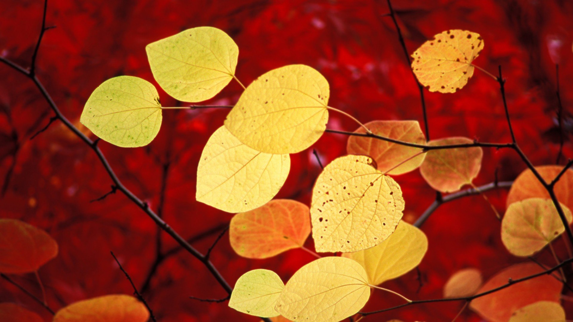 小清新,温暖,干净,安静,唯美,静物,物语,时光,清新淡雅,宁静安详