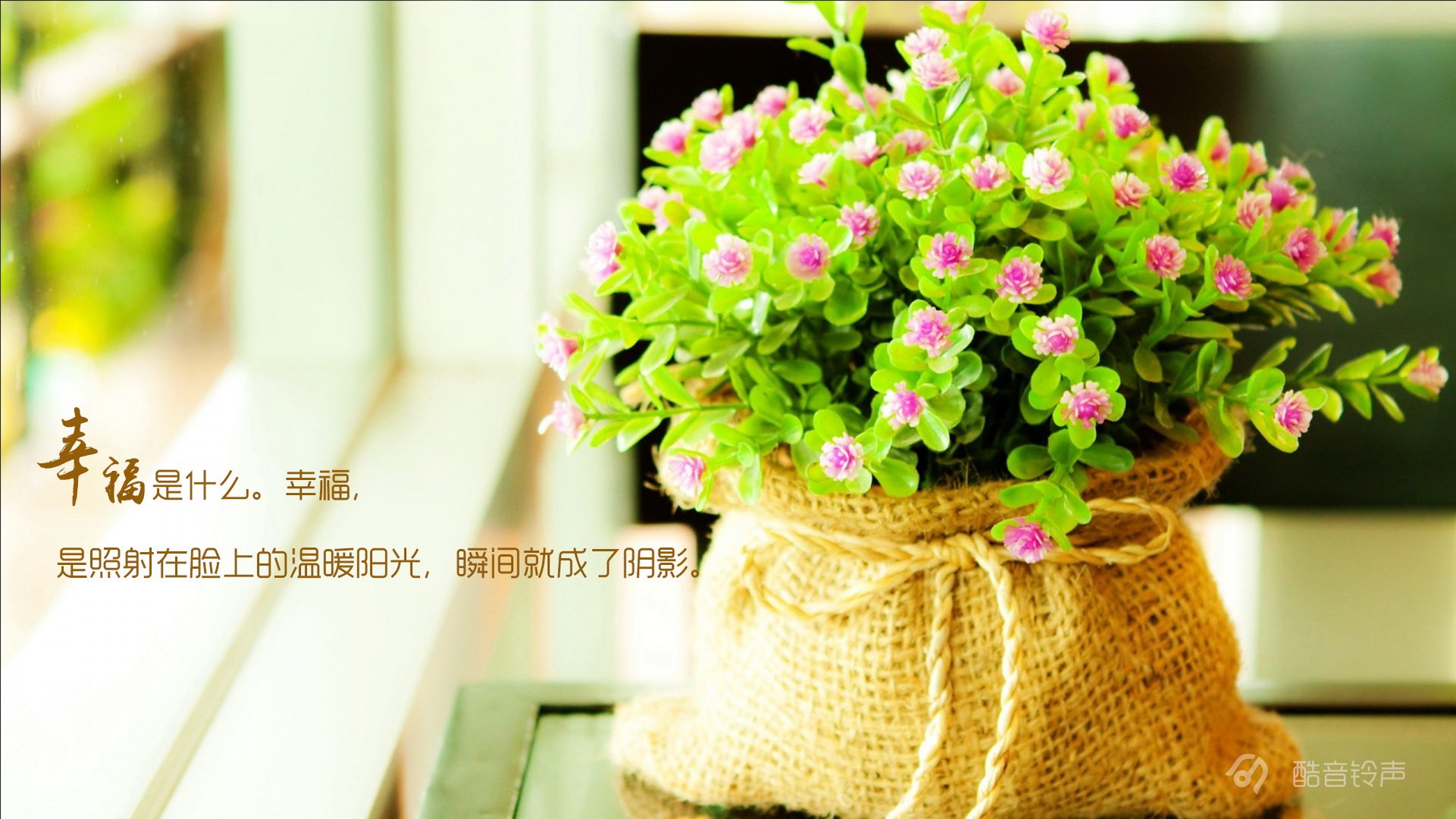 小清新,温暖,干净,安静,唯美,静物,物语,时光,恋生活,文字,@酷音铃声