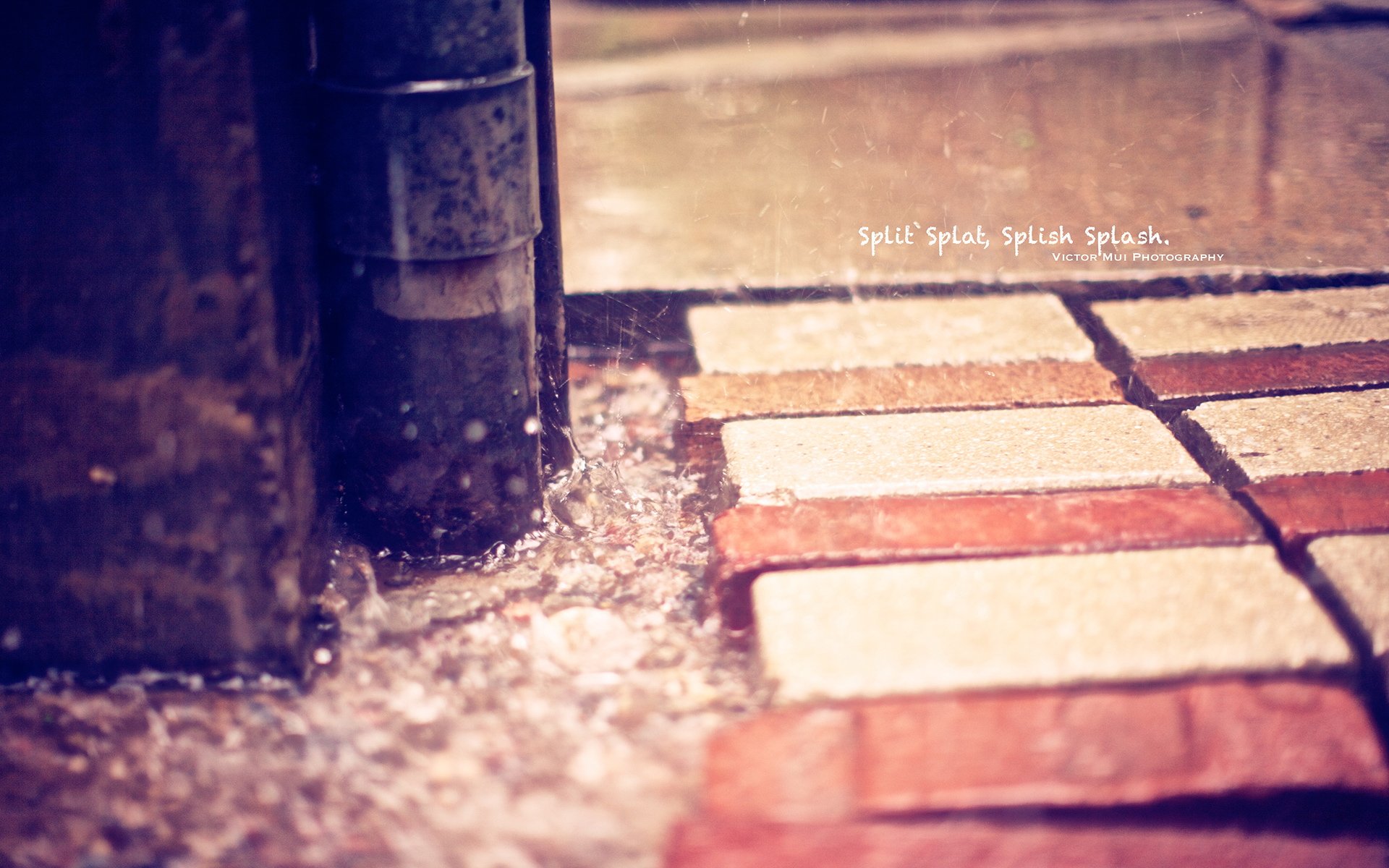 小清新,温暖,干净,安静,唯美,静物,物语,时光