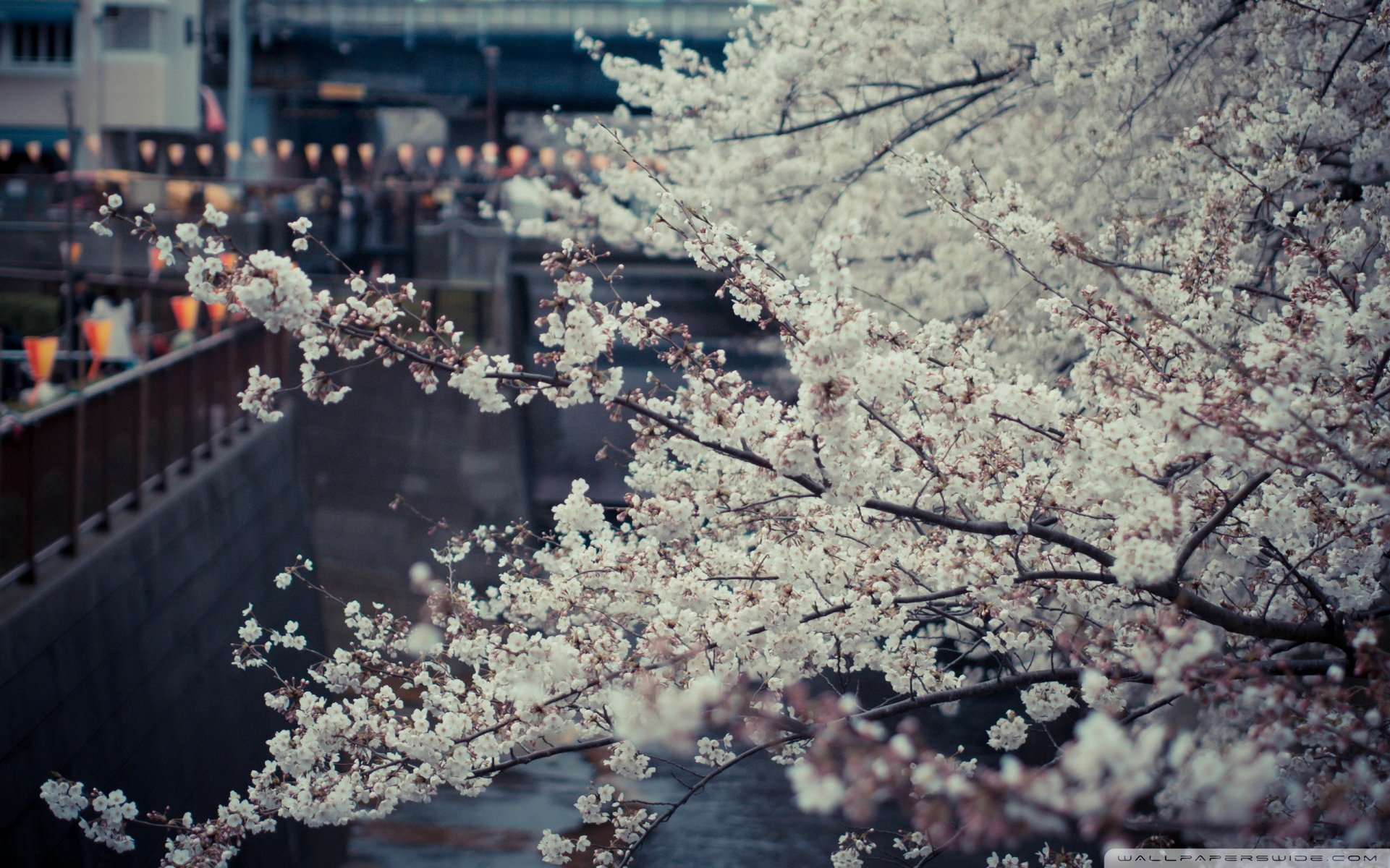 风景,自然风光,大自然