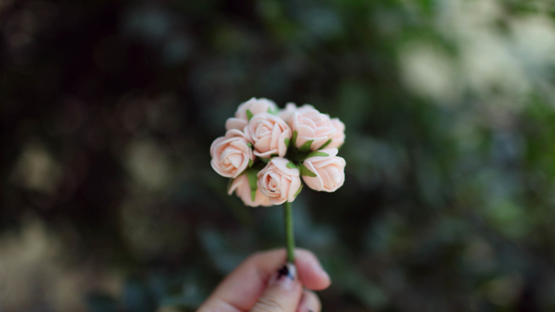 小清新,温暖,干净,安静,唯美,静物,物语,时光