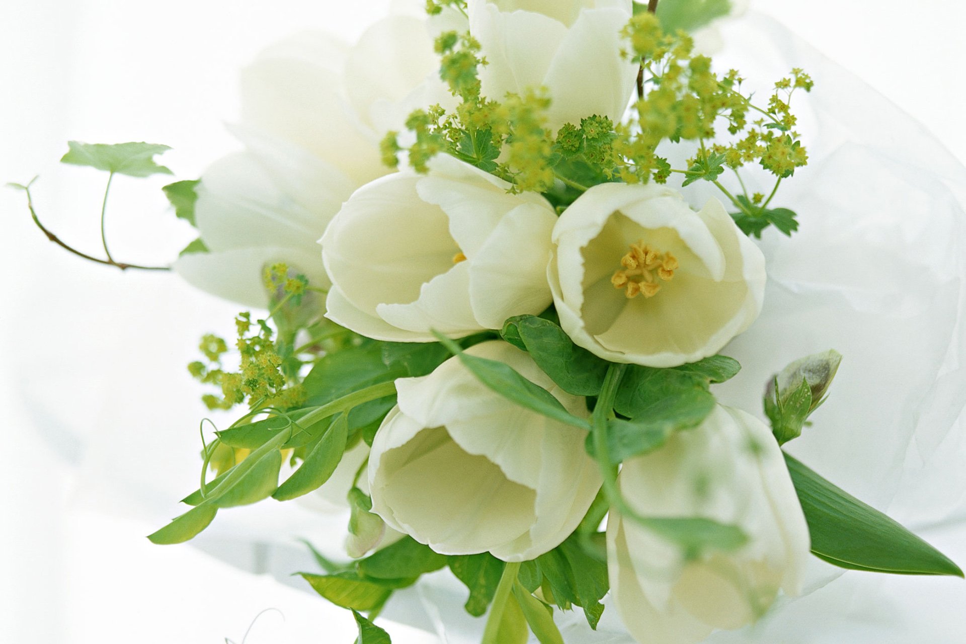 小清新,温暖,干净,安静,唯美,静物,物语,时光