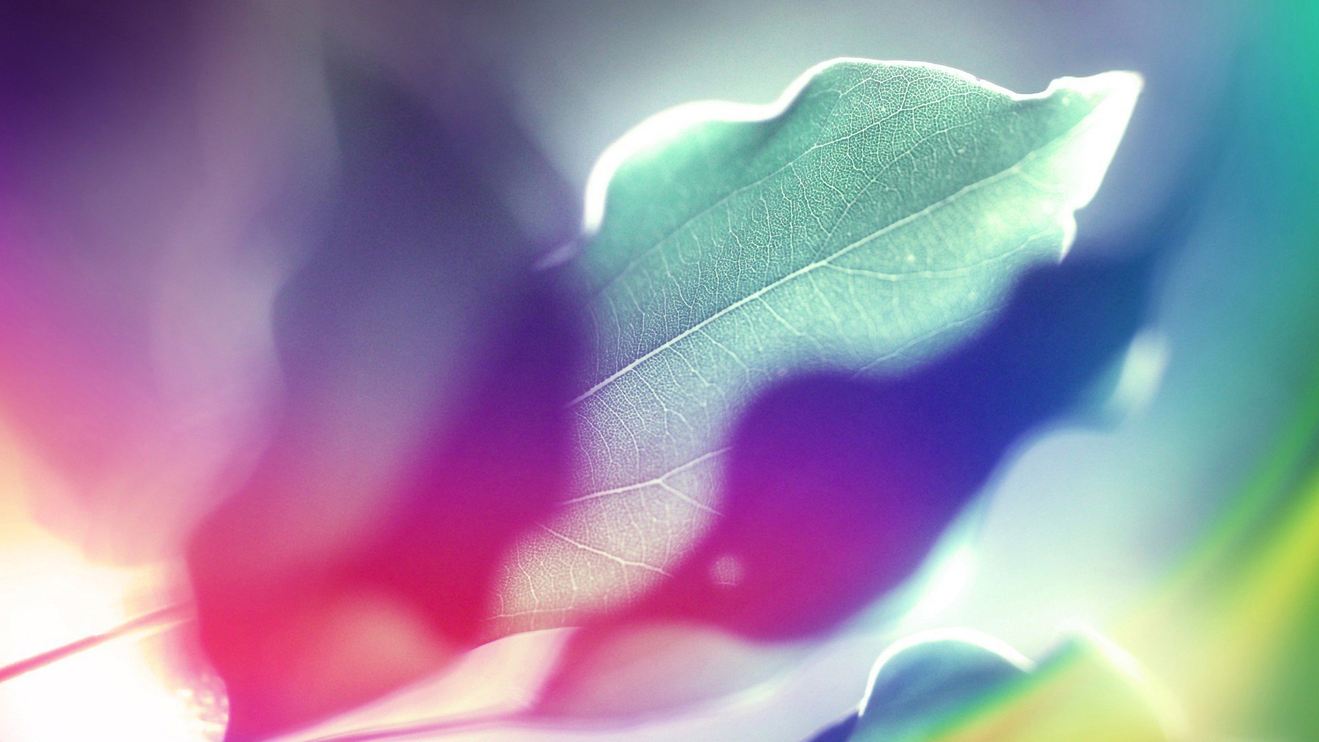 小清新,温暖,干净,安静,唯美,静物,物语,时光,清新淡雅,宁静安详