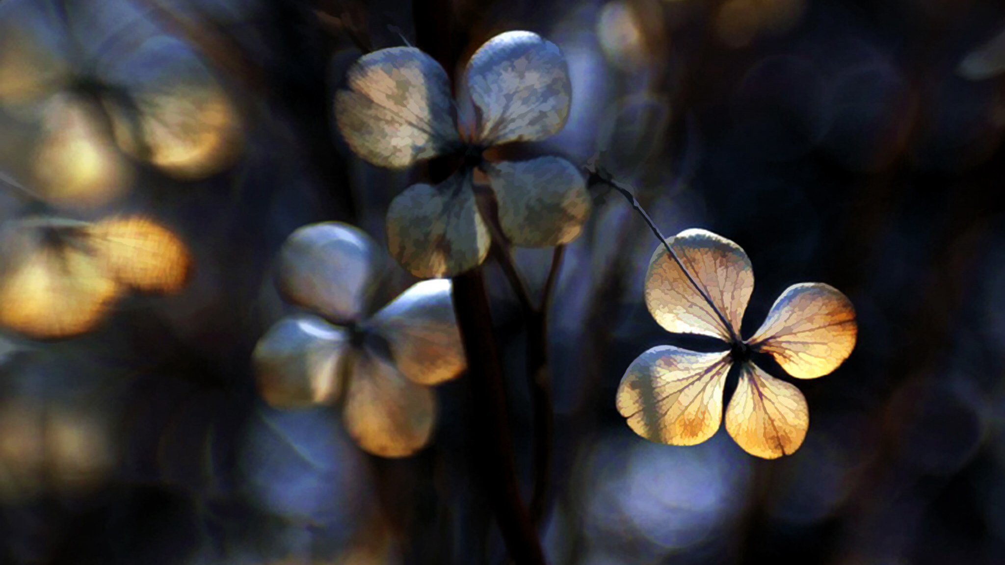 小清新,温暖,干净,安静,唯美,静物,物语,时光