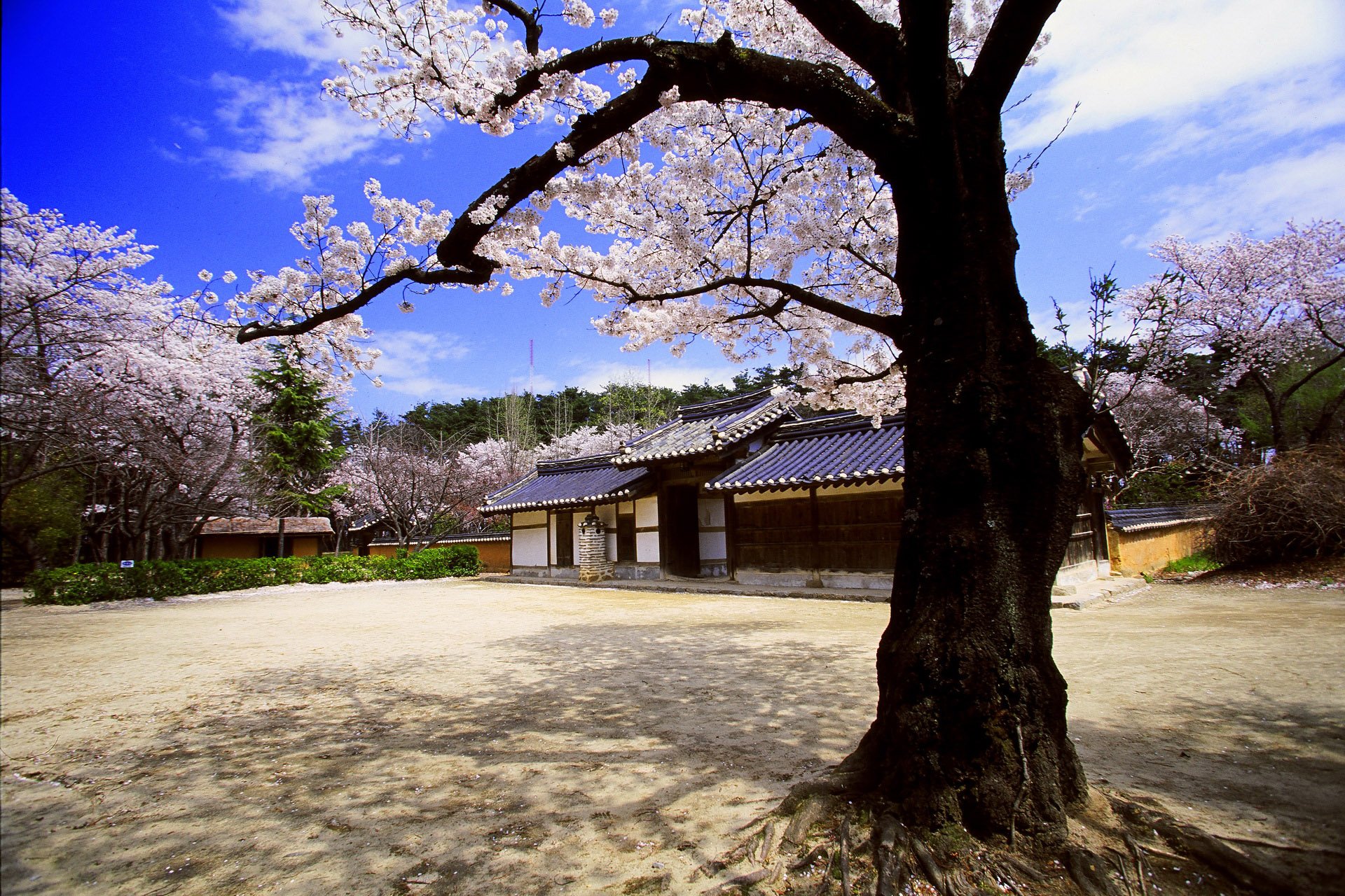 风景,自然风光,大自然,清新,旅行,时光,唯美