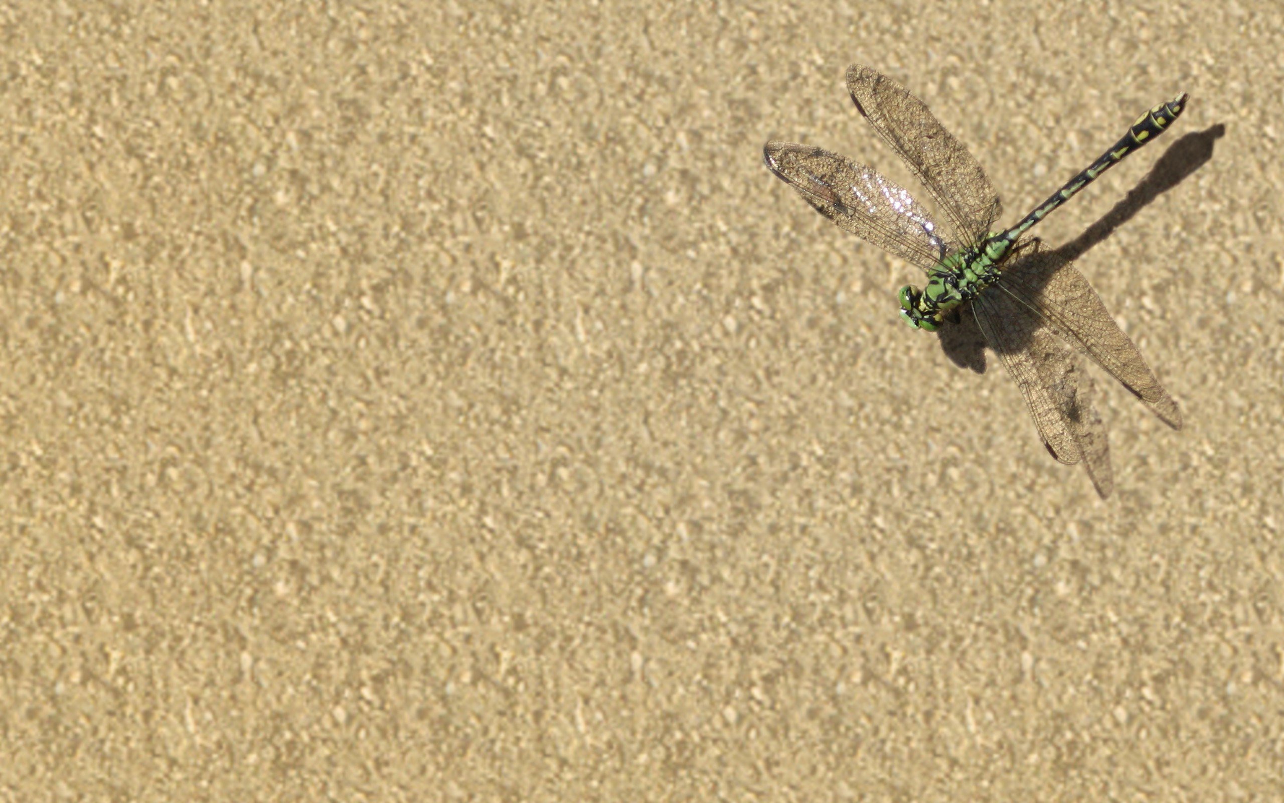 小清新,温暖,干净,安静,唯美,静物,物语,时光,清新淡雅,宁静安详