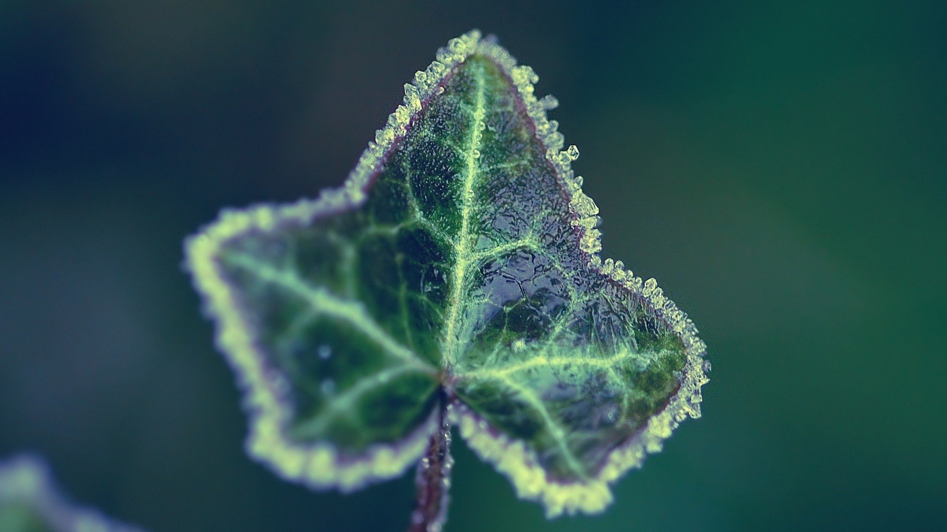 小清新,温暖,干净,安静,唯美,静物,物语,时光,清新淡雅,宁静安详