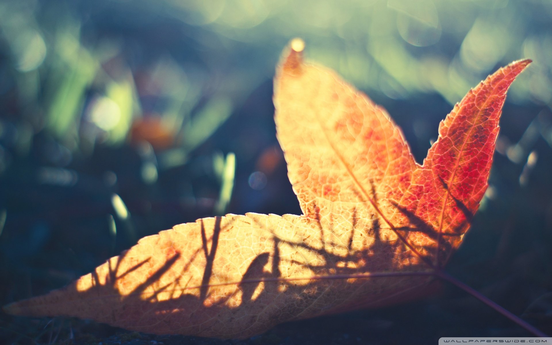 小清新,温暖,干净,安静,唯美,静物,物语,时光,清新淡雅,宁静安详