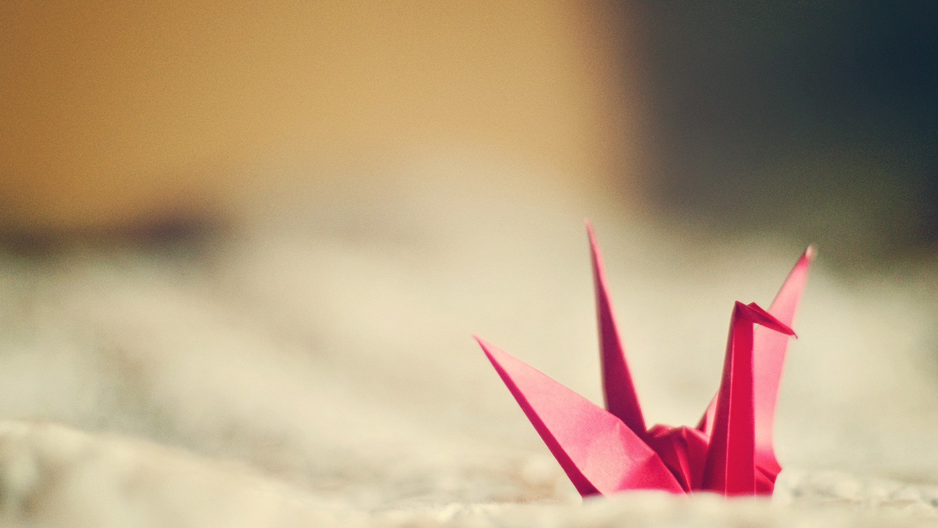 小清新,温暖,干净,安静,唯美,静物,物语,时光