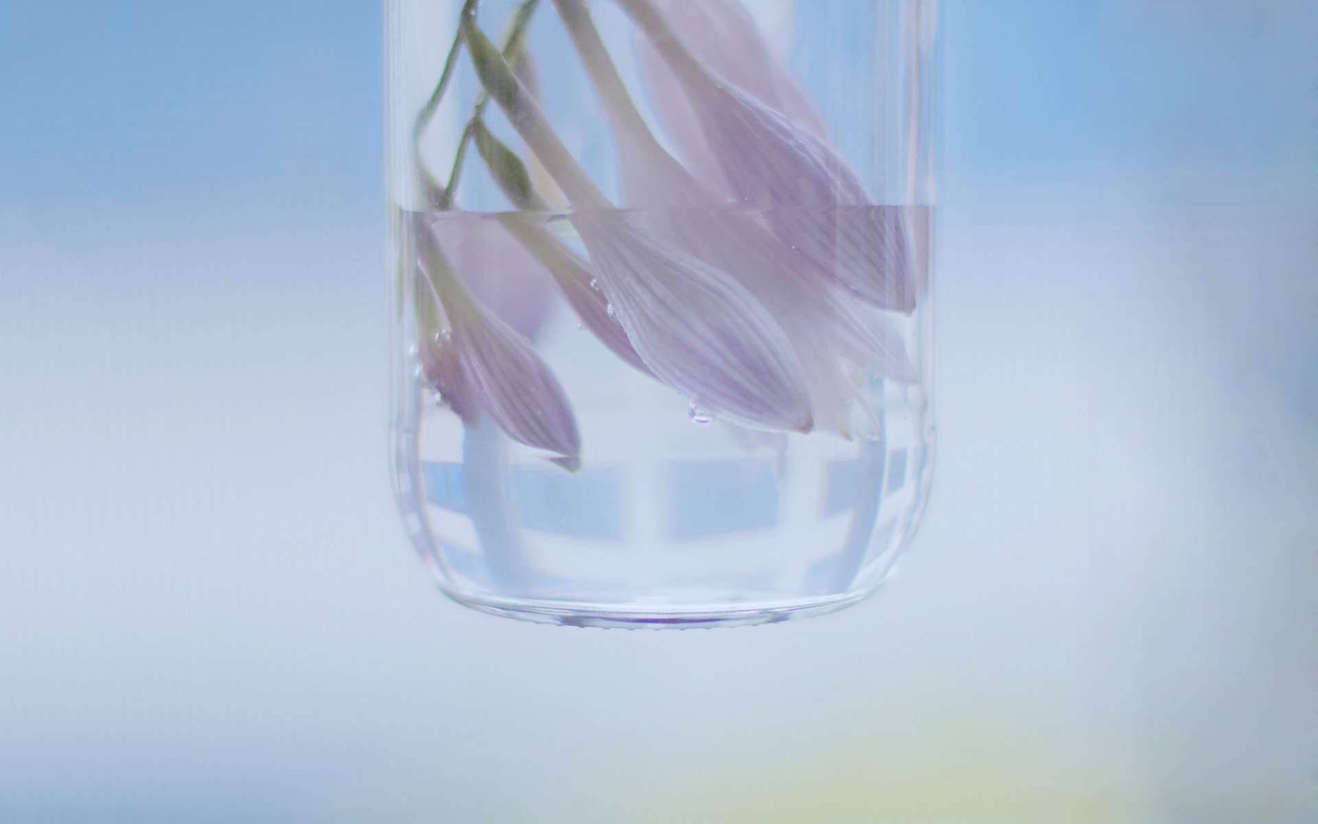 小清新,温暖,干净,安静,唯美,静物,物语,时光