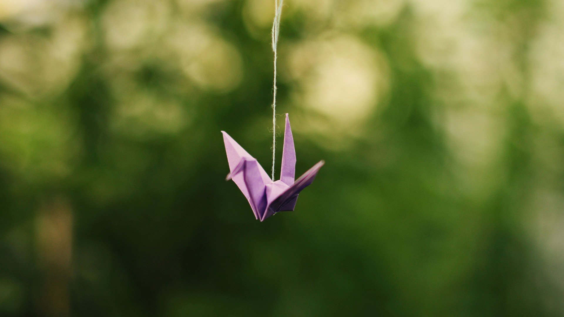 小清新,温暖,干净,安静,唯美,静物,物语,时光