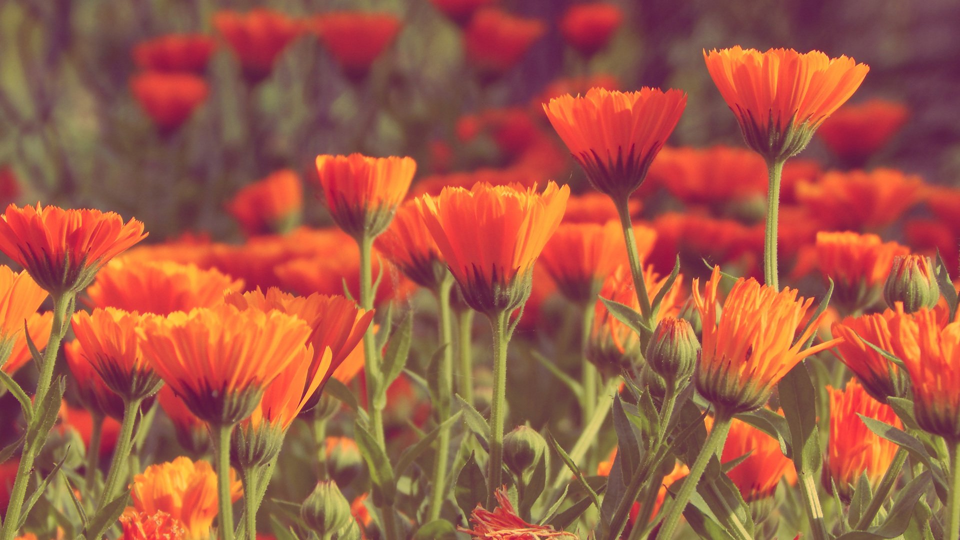 小清新,温暖,干净,安静,唯美,静物,物语,时光