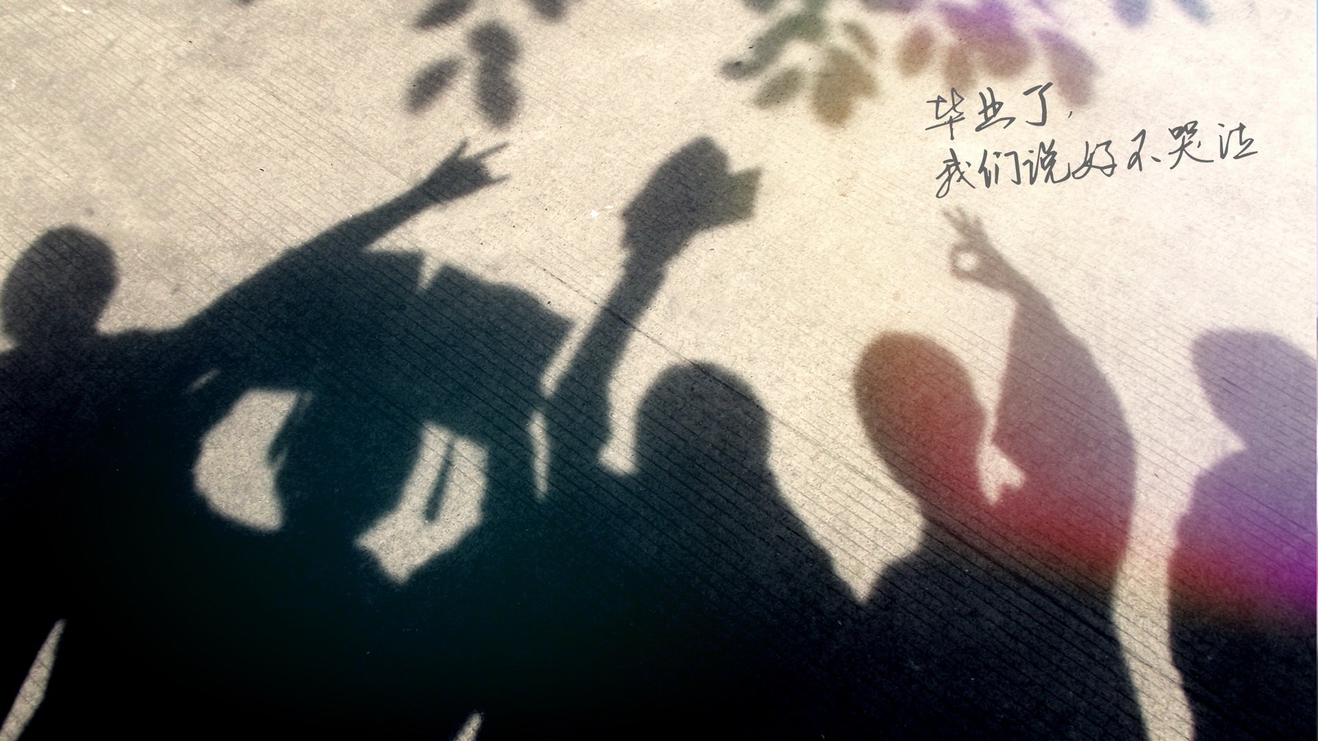 小清新,温暖,干净,安静,唯美,静物,物语,时光,毕业季,文字,分别,离开,伤感,@酷音铃声