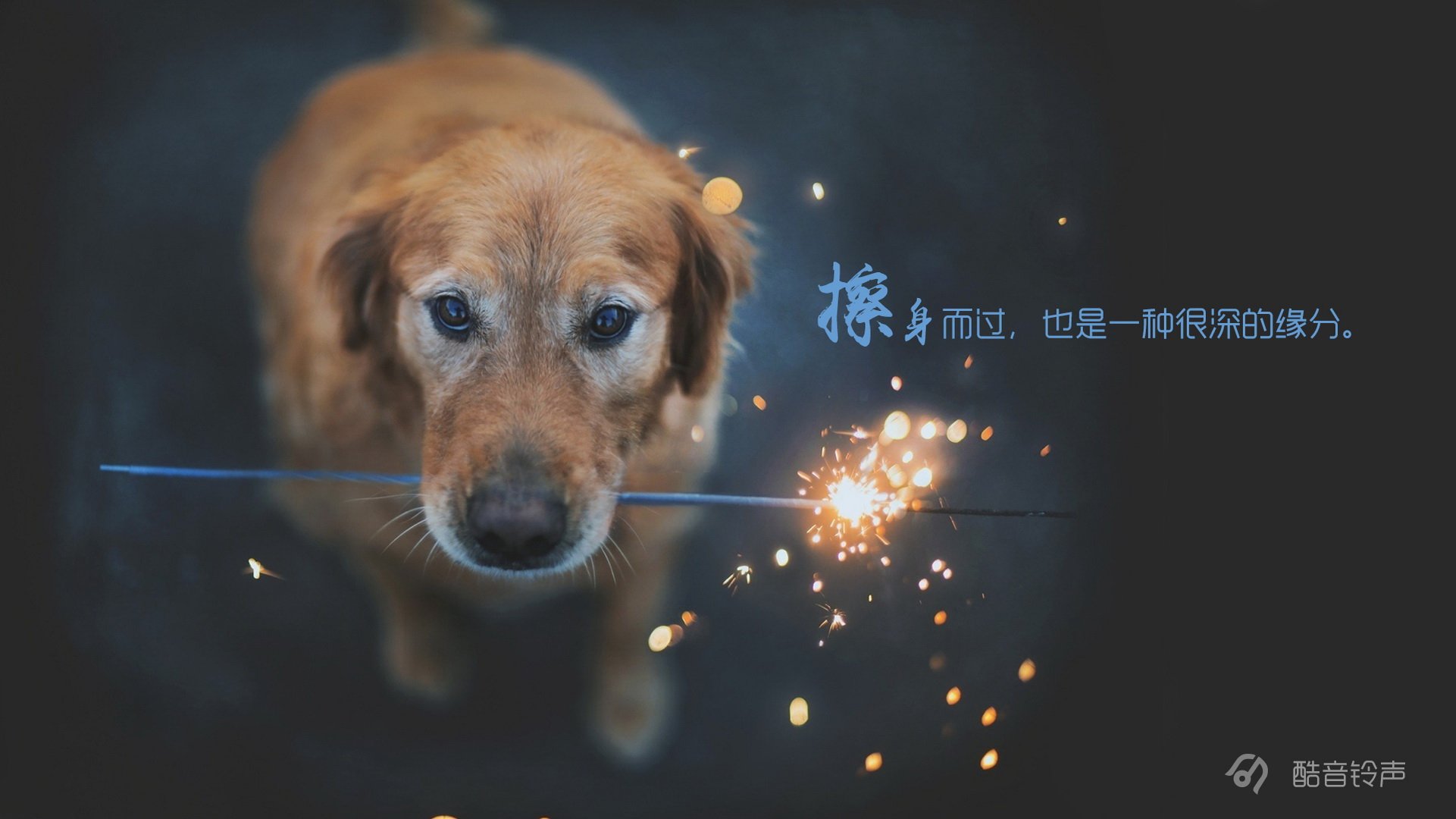 小清新,温暖,干净,安静,唯美,静物,物语,时光,恋生活,文字,@酷音铃声