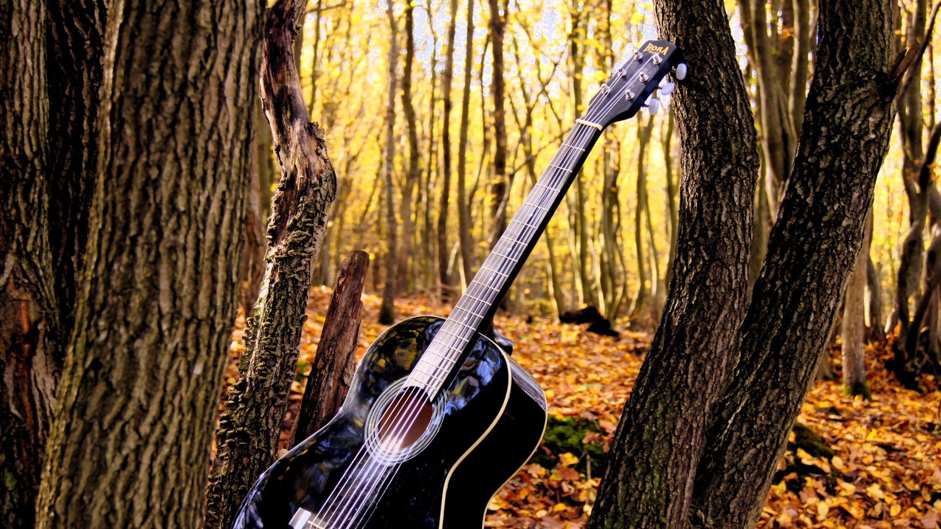 小清新,温暖,干净,安静,唯美,静物,物语,时光