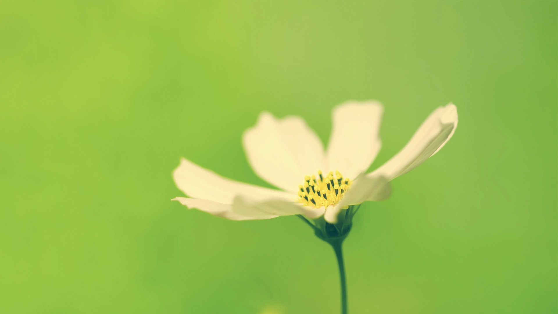 小清新,温暖,干净,安静,唯美,静物,物语,时光