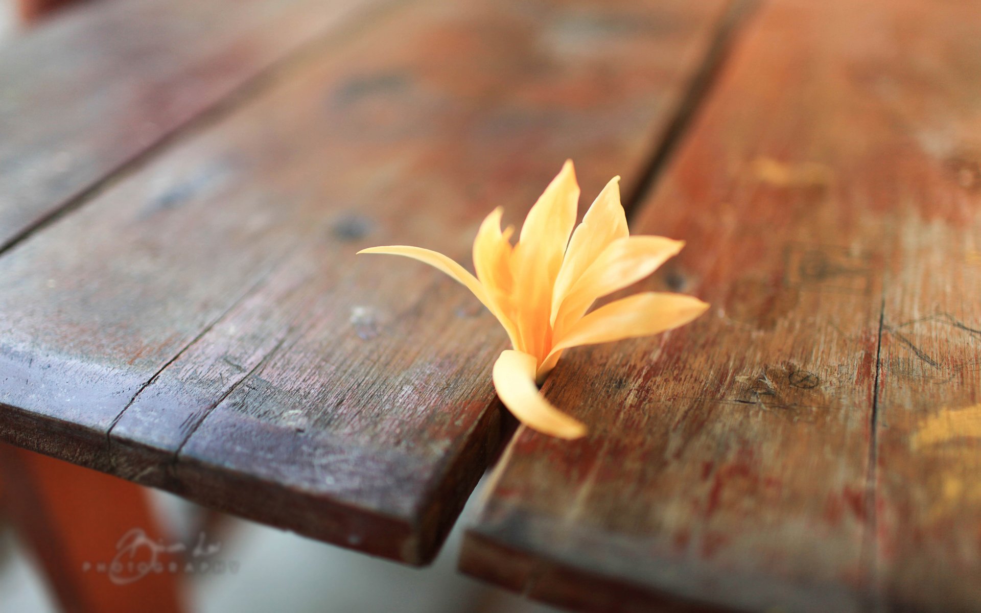 小清新,温暖,干净,安静,唯美,静物,物语,时光