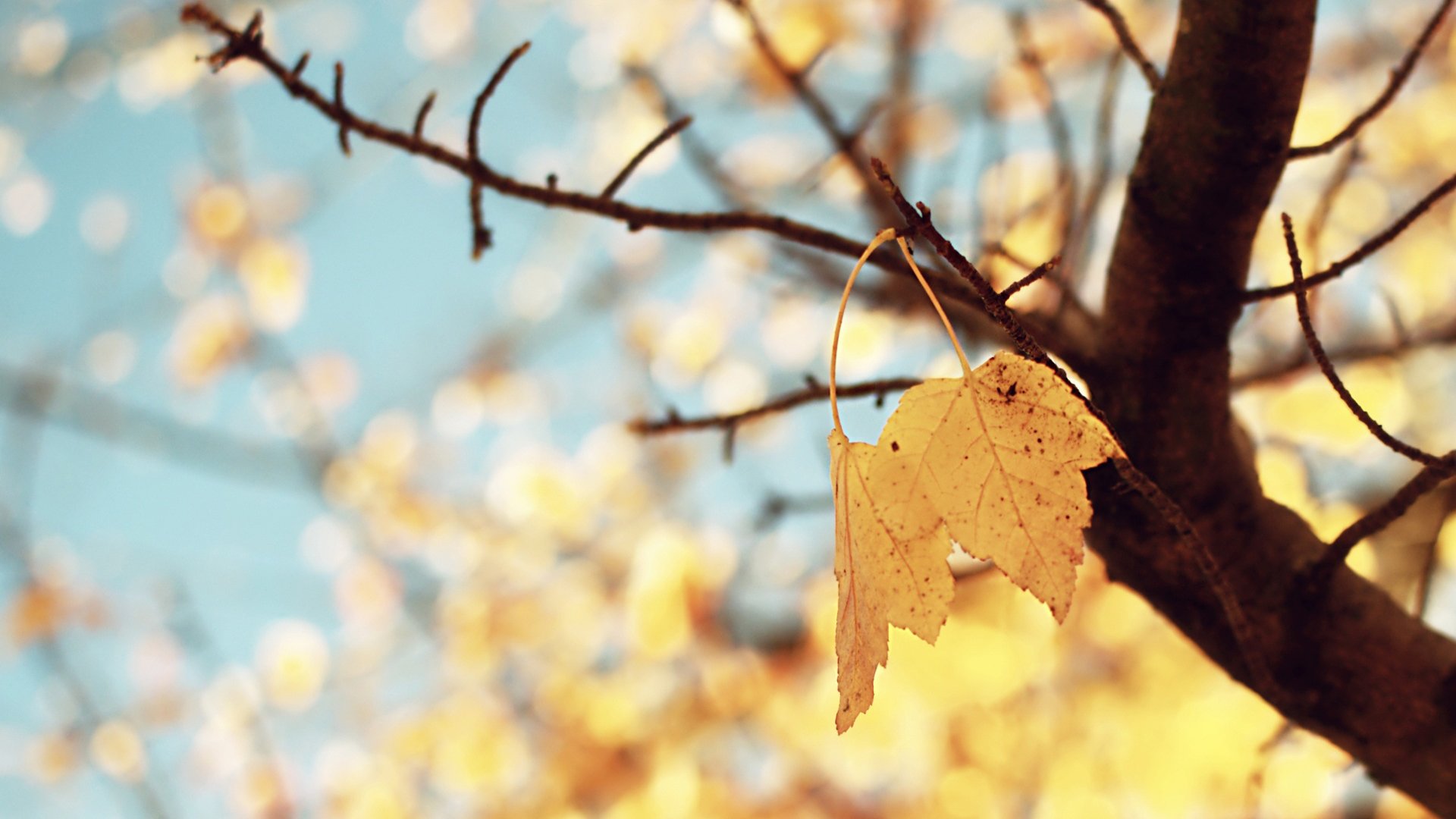 小清新,温暖,干净,安静,唯美,静物,物语,时光,清新淡雅,宁静安详